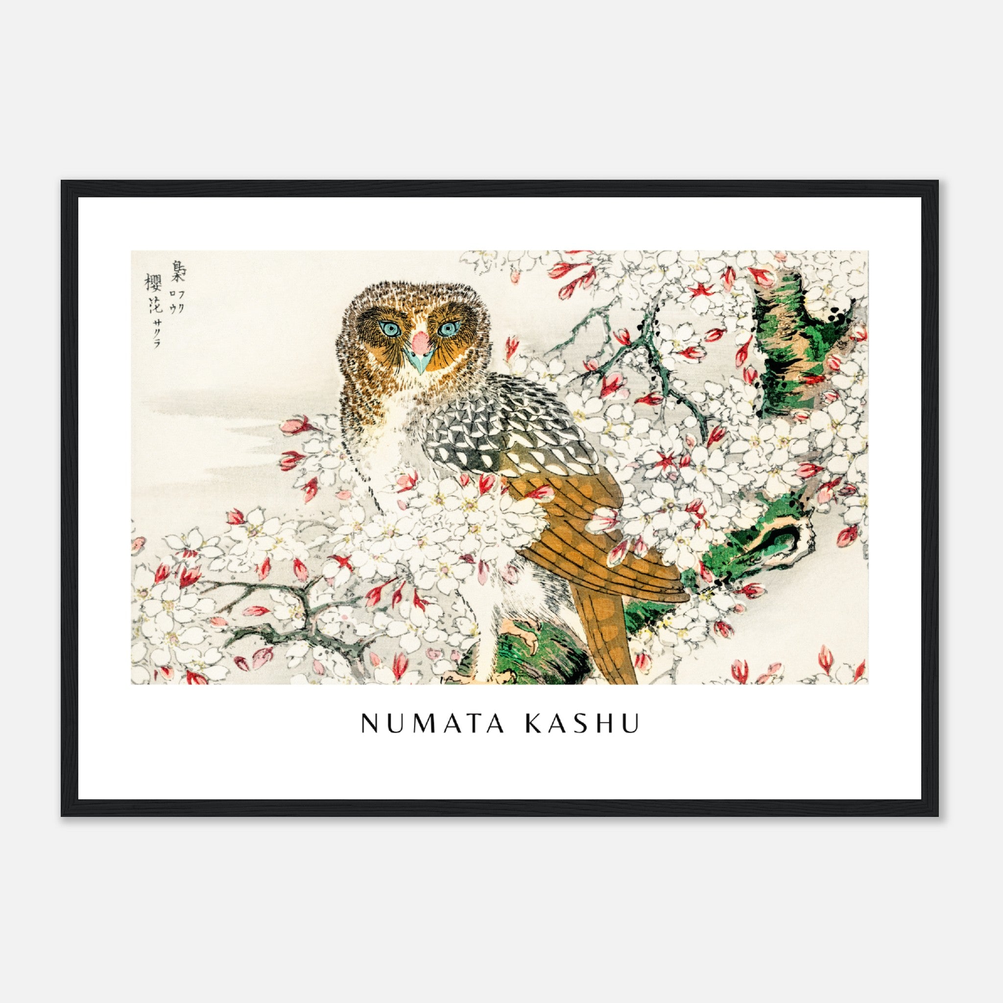 Numata Kashu Print 9 Poster
