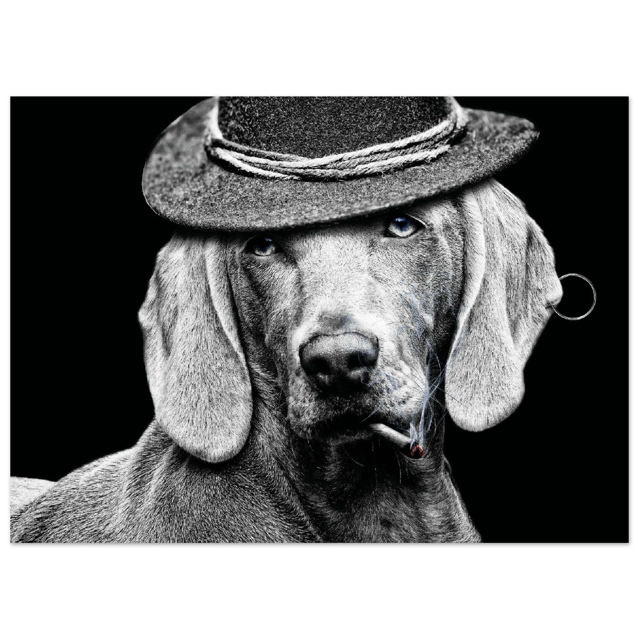 A Classy Dog In A Punk Hat Poster
