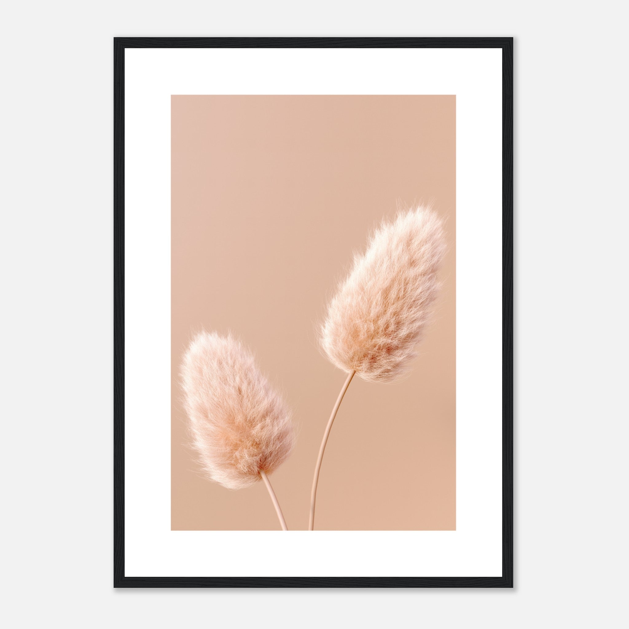 Soft Fluffy Flowers 4 Poster