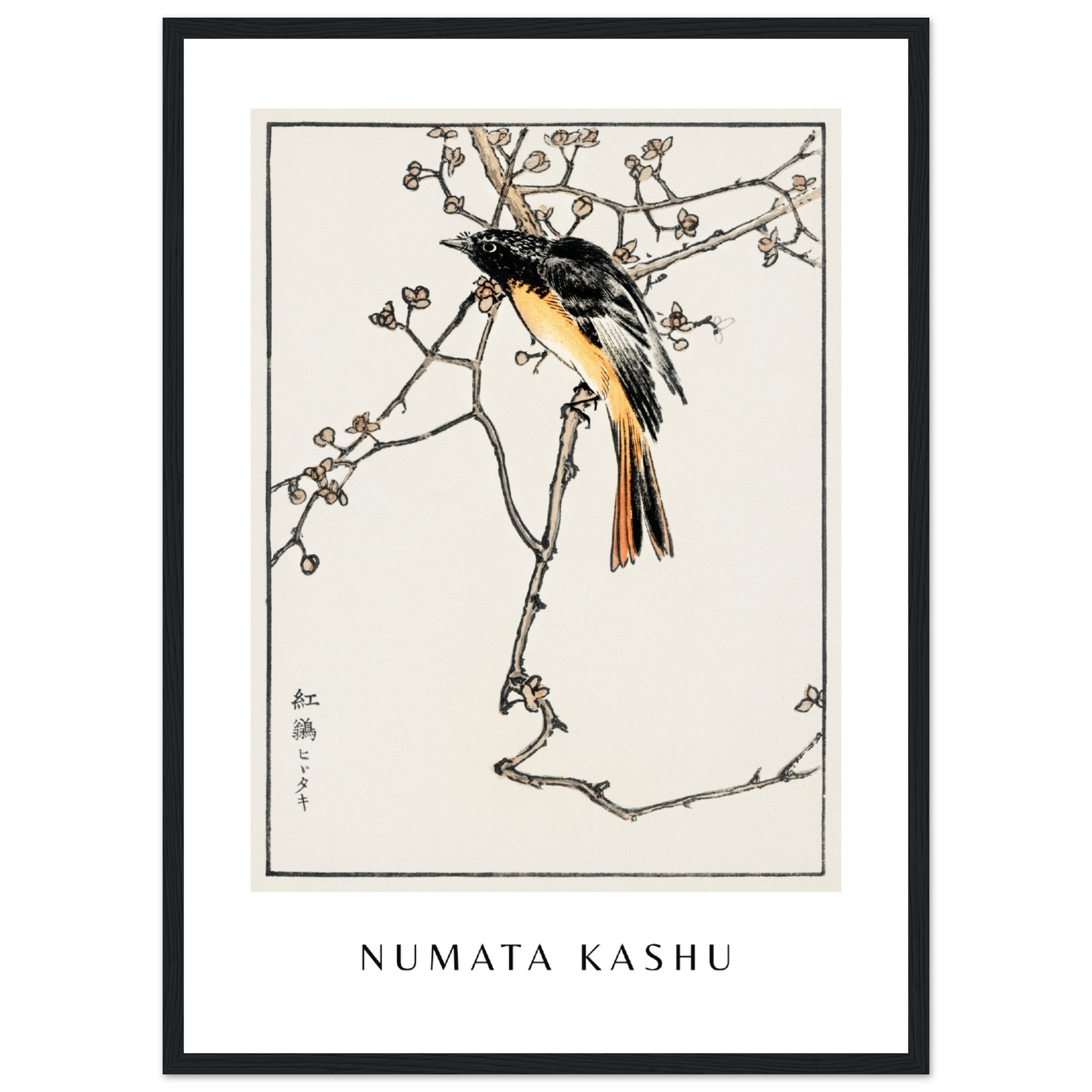 Numata Kashu Print 1 Poster