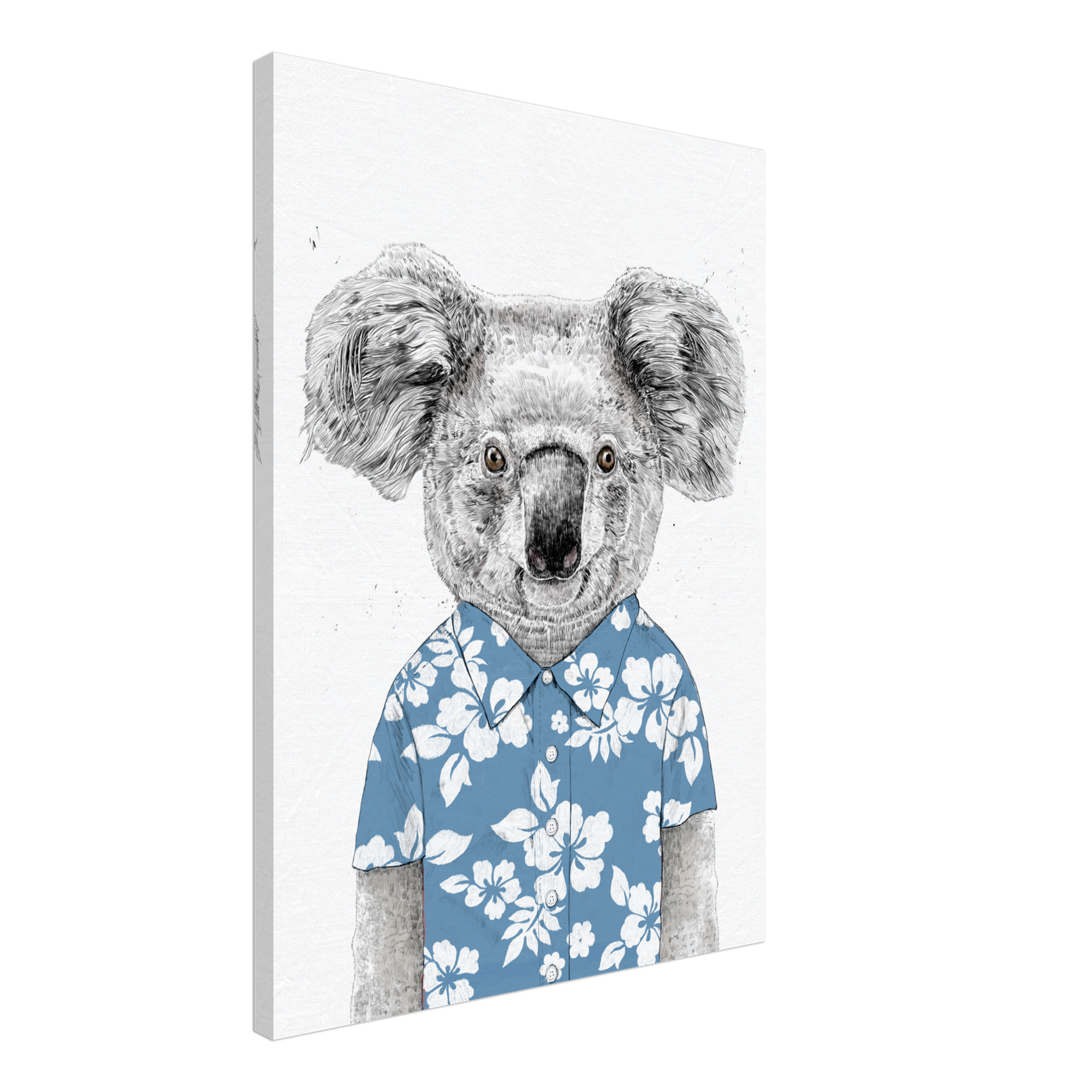 Summer Koala (Blue) Canvas