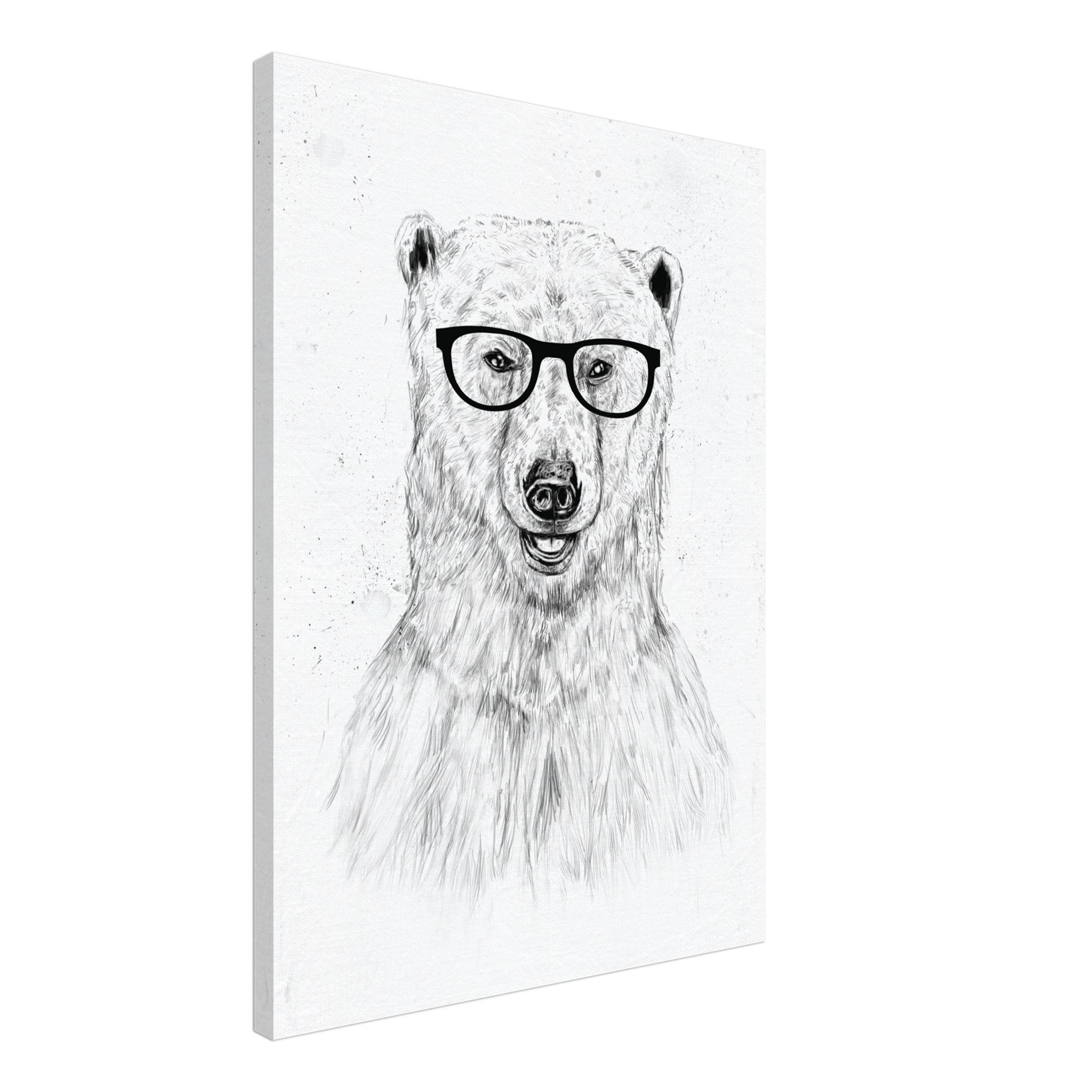 Geek Bear Canvas