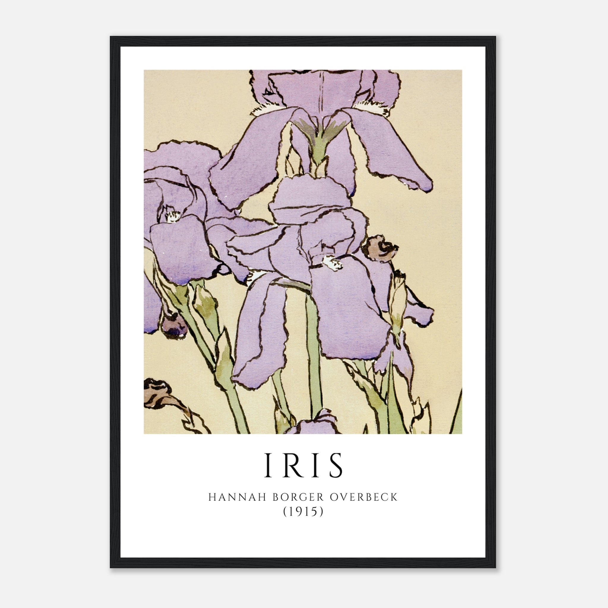 Iris by Hannah Borger Poster