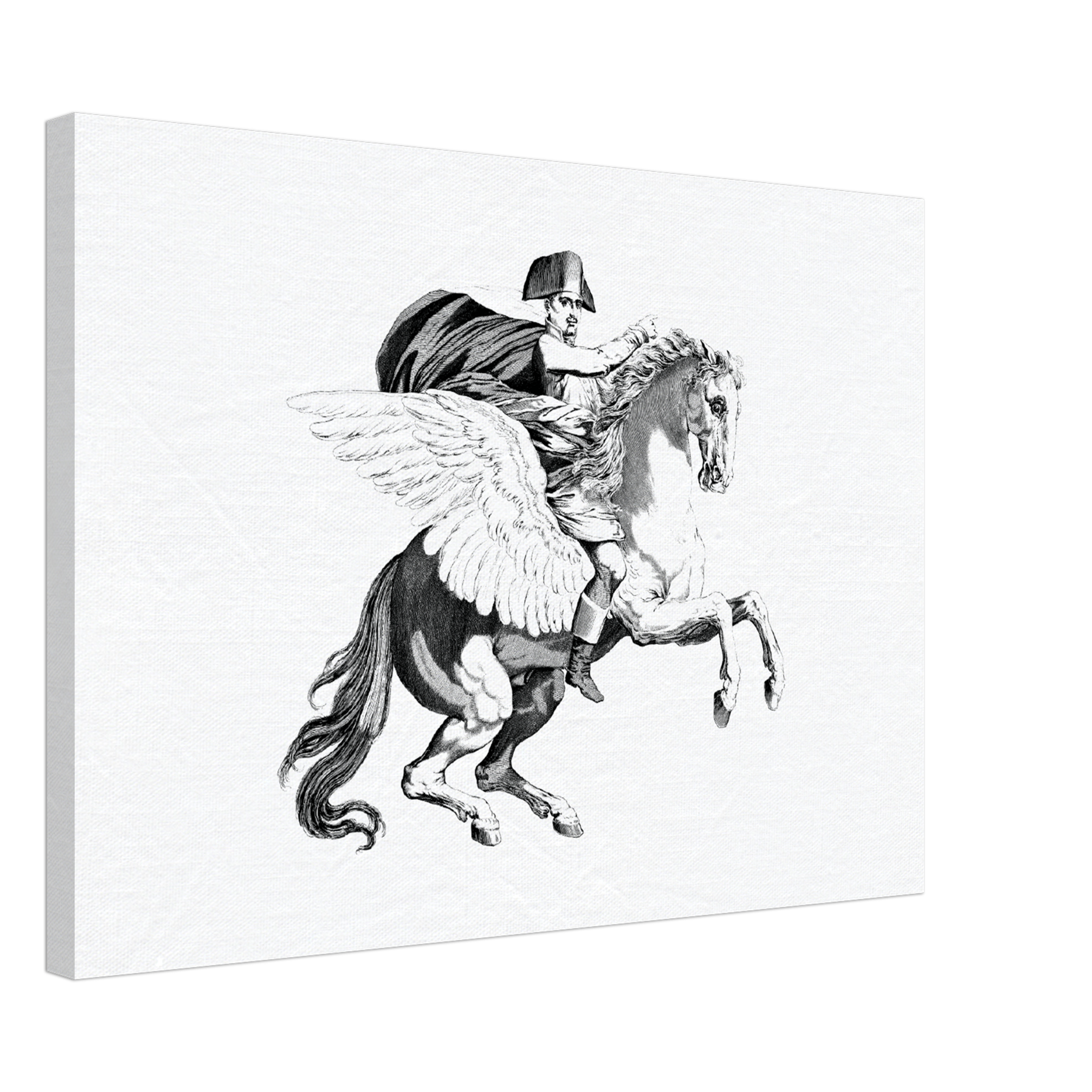 Napoléon on Pegasus Canvas