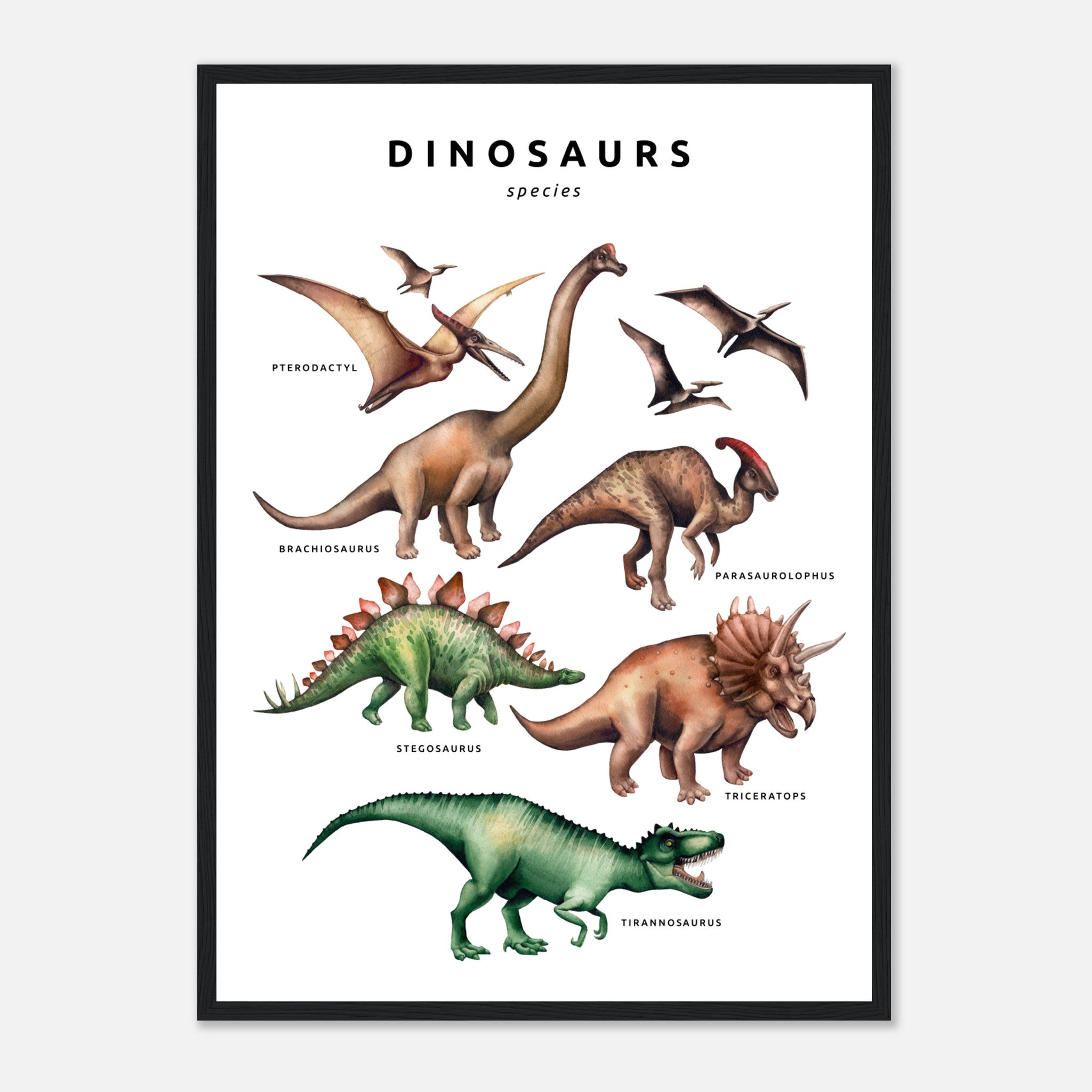 Dinosaurs Collection Poster