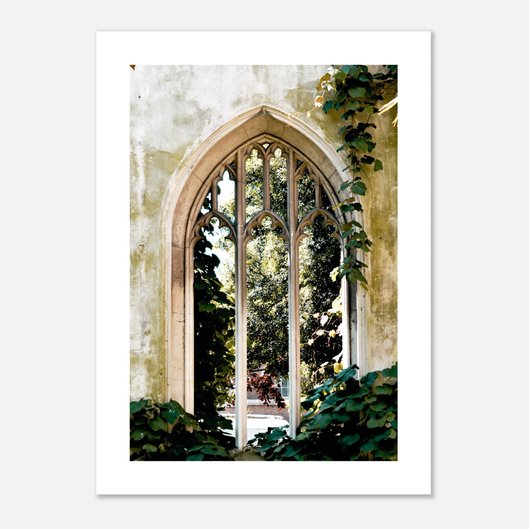Garden Of Architecture No.3 Poster