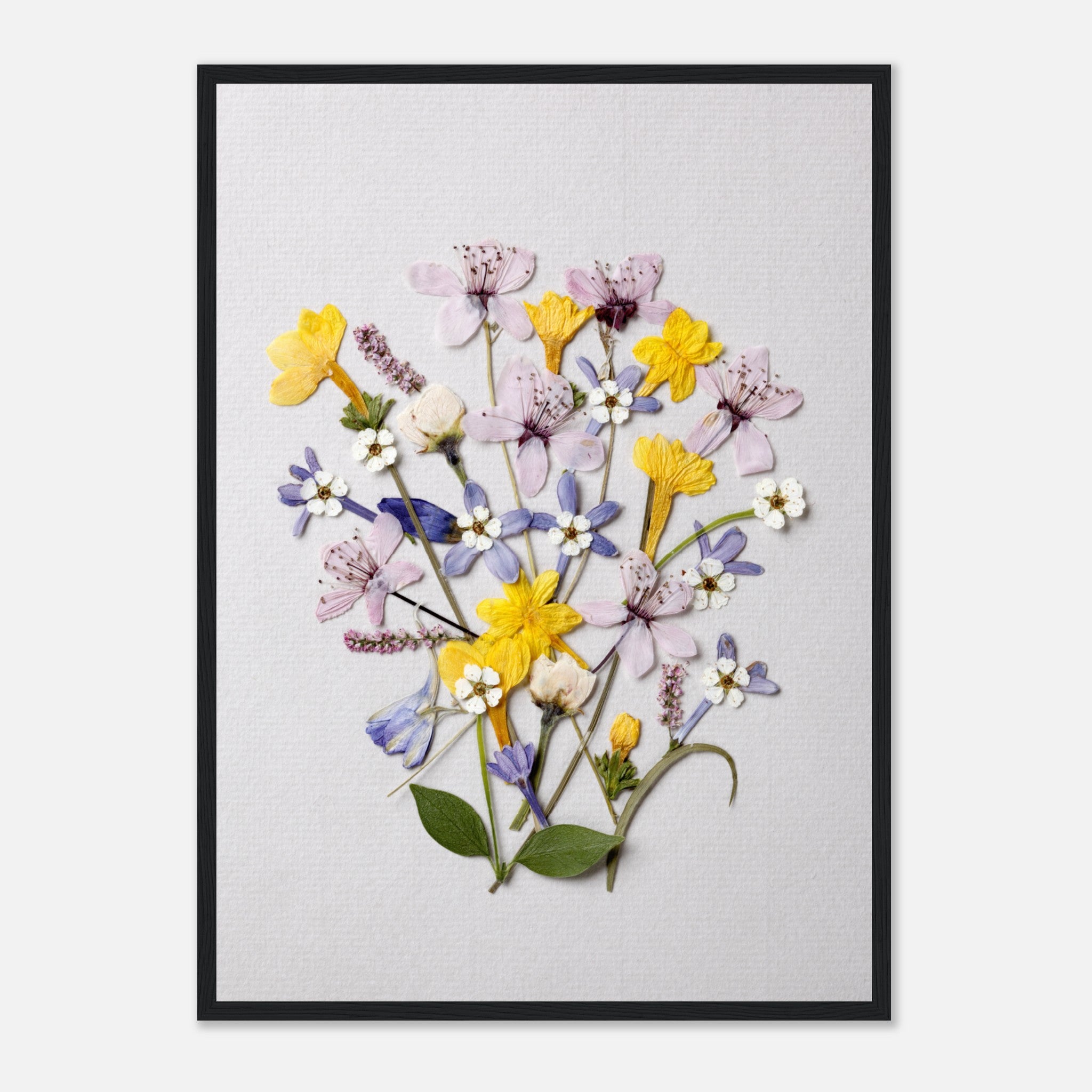 Dried Flowers On Textured Paper 6 Poster