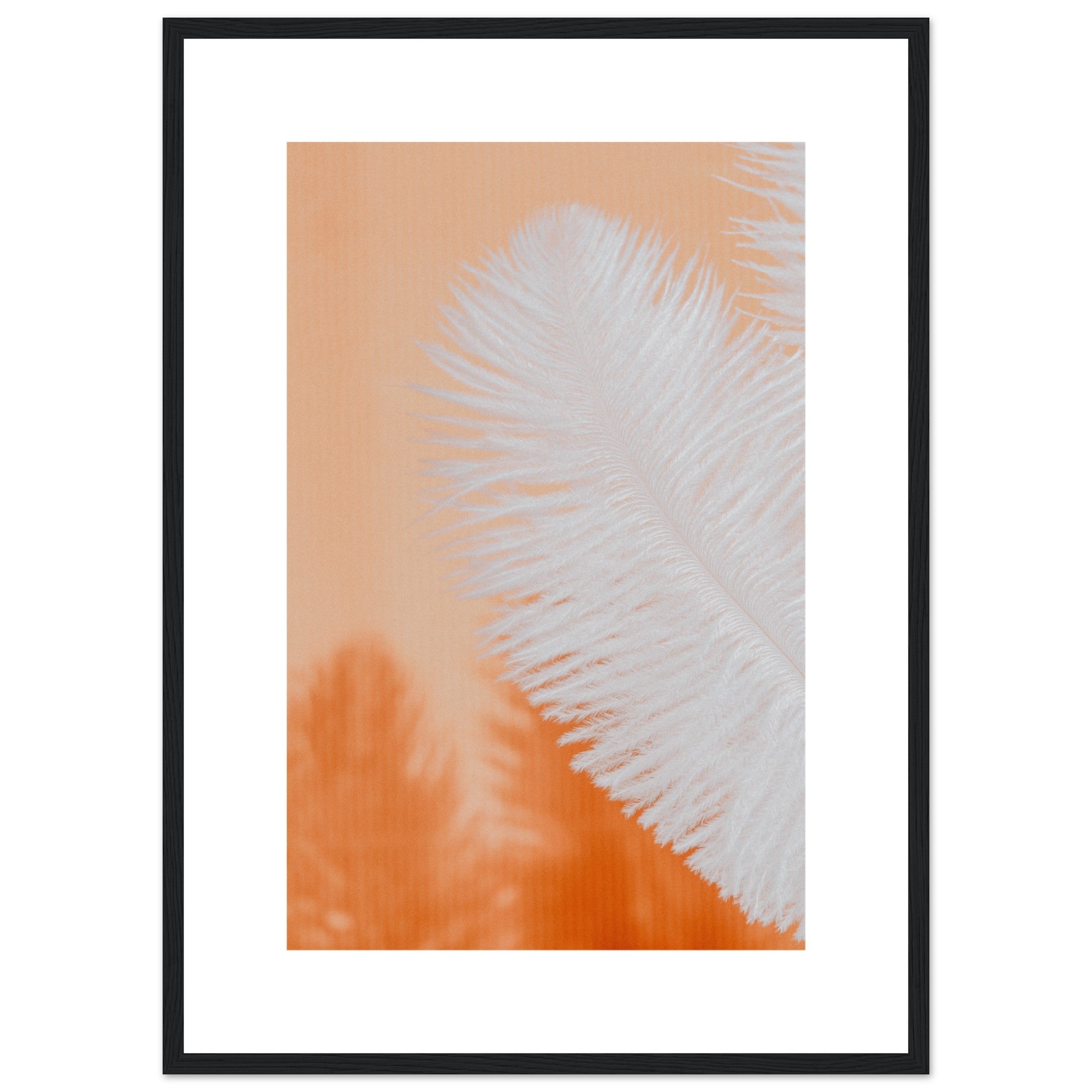 White Feather Poster