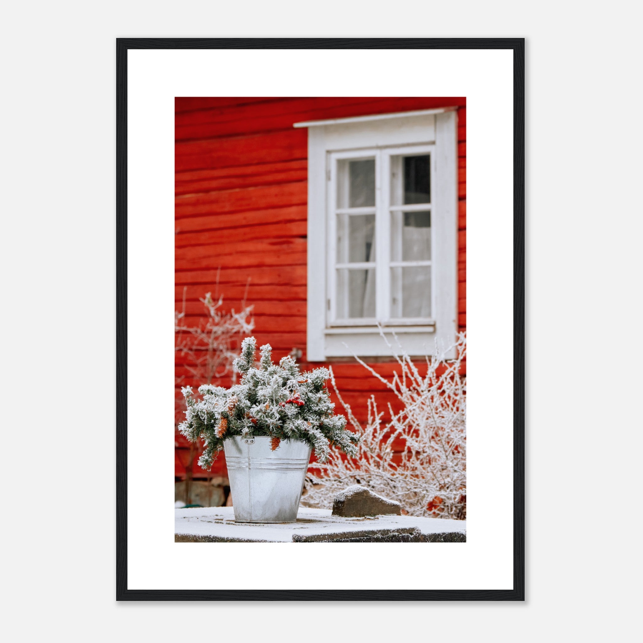 Winter Outdoor View Poster