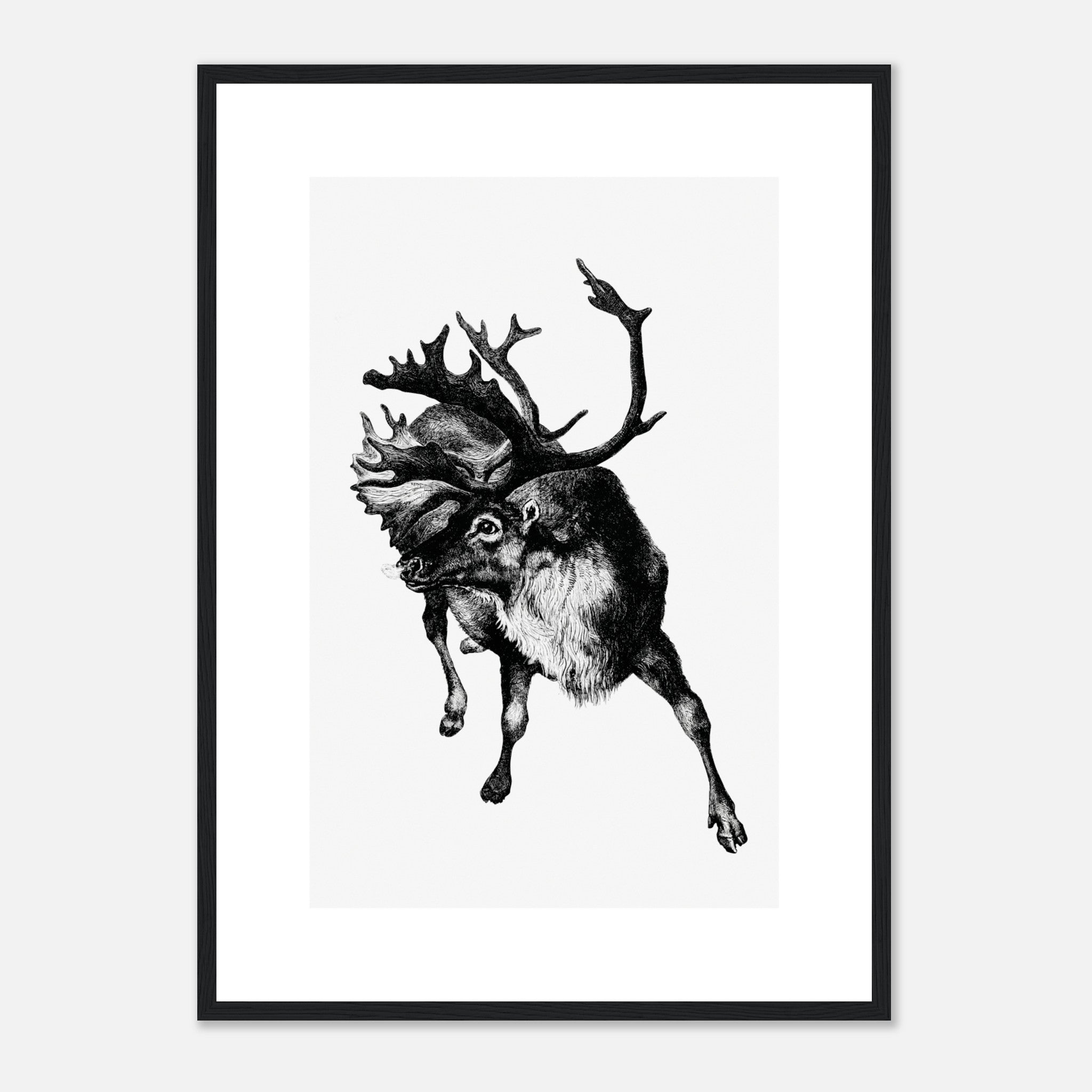 Vintage Reindeer Etching Illustration Poster
