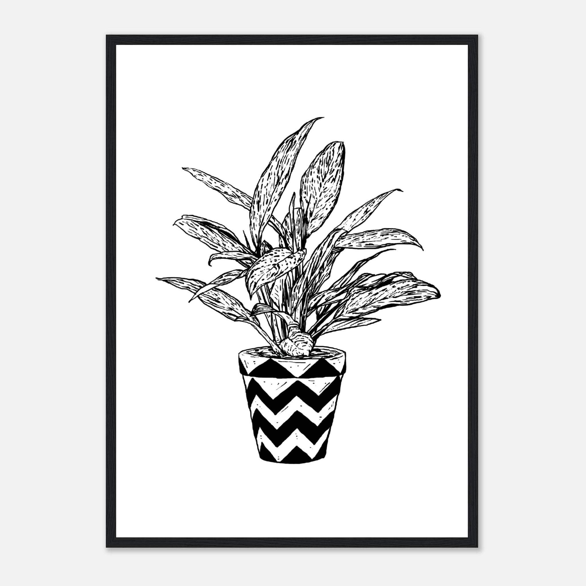 Chinese Evergreen Poster