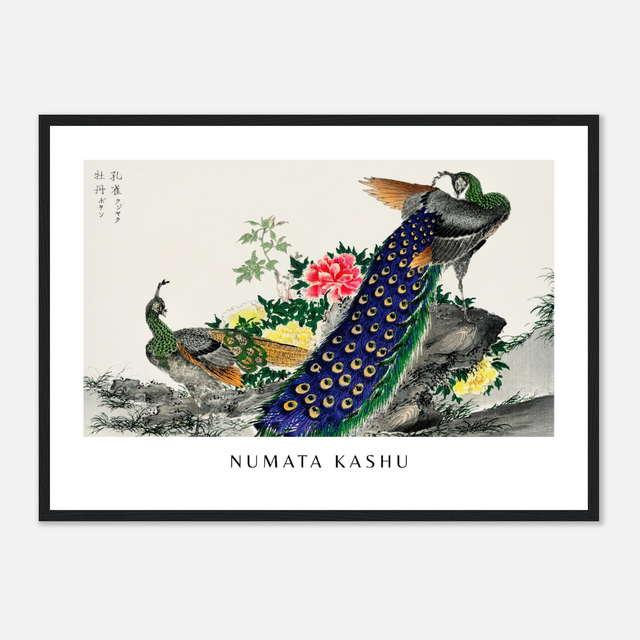 Numata Kashu Print 8 Poster