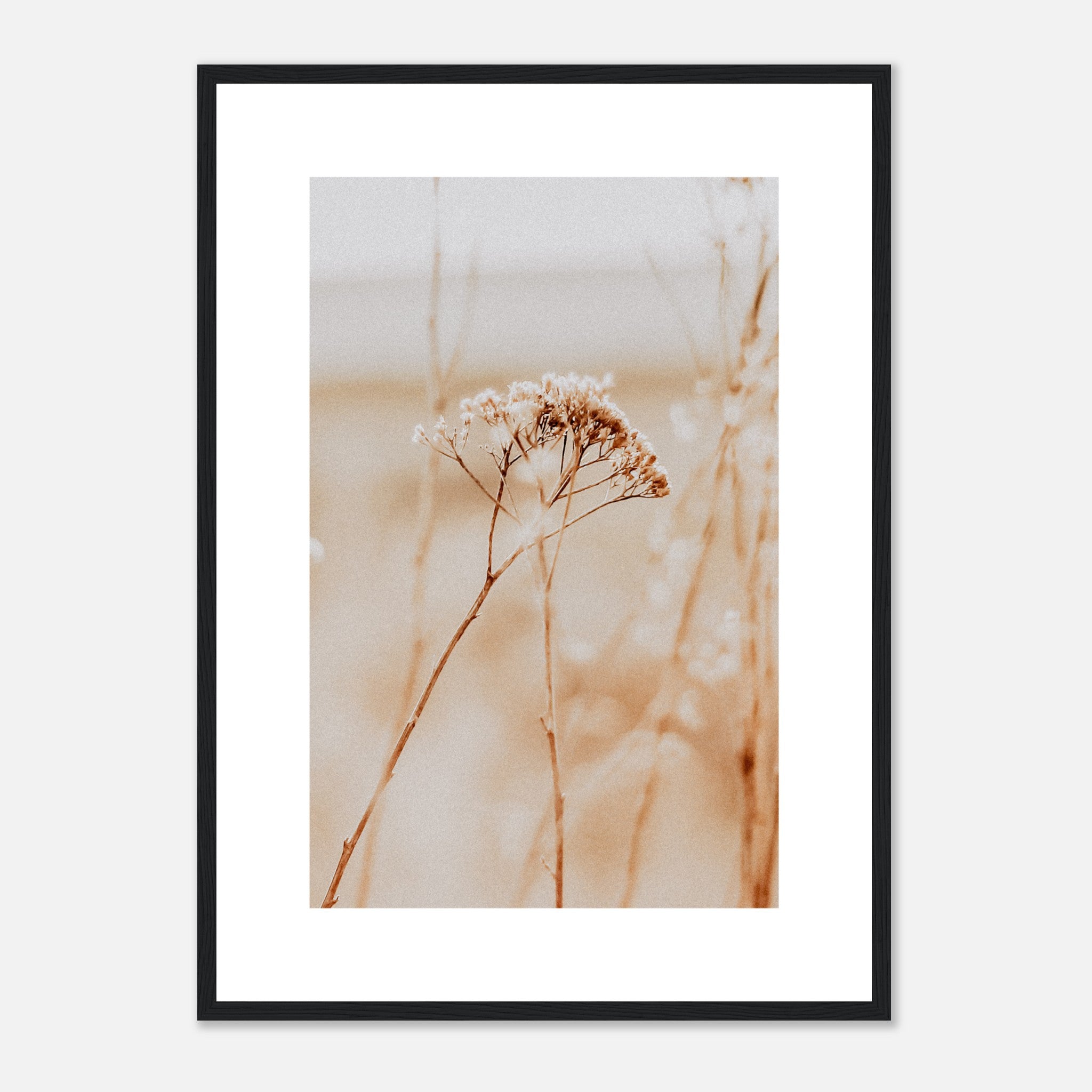 Dehydrated Dry Plants Poster