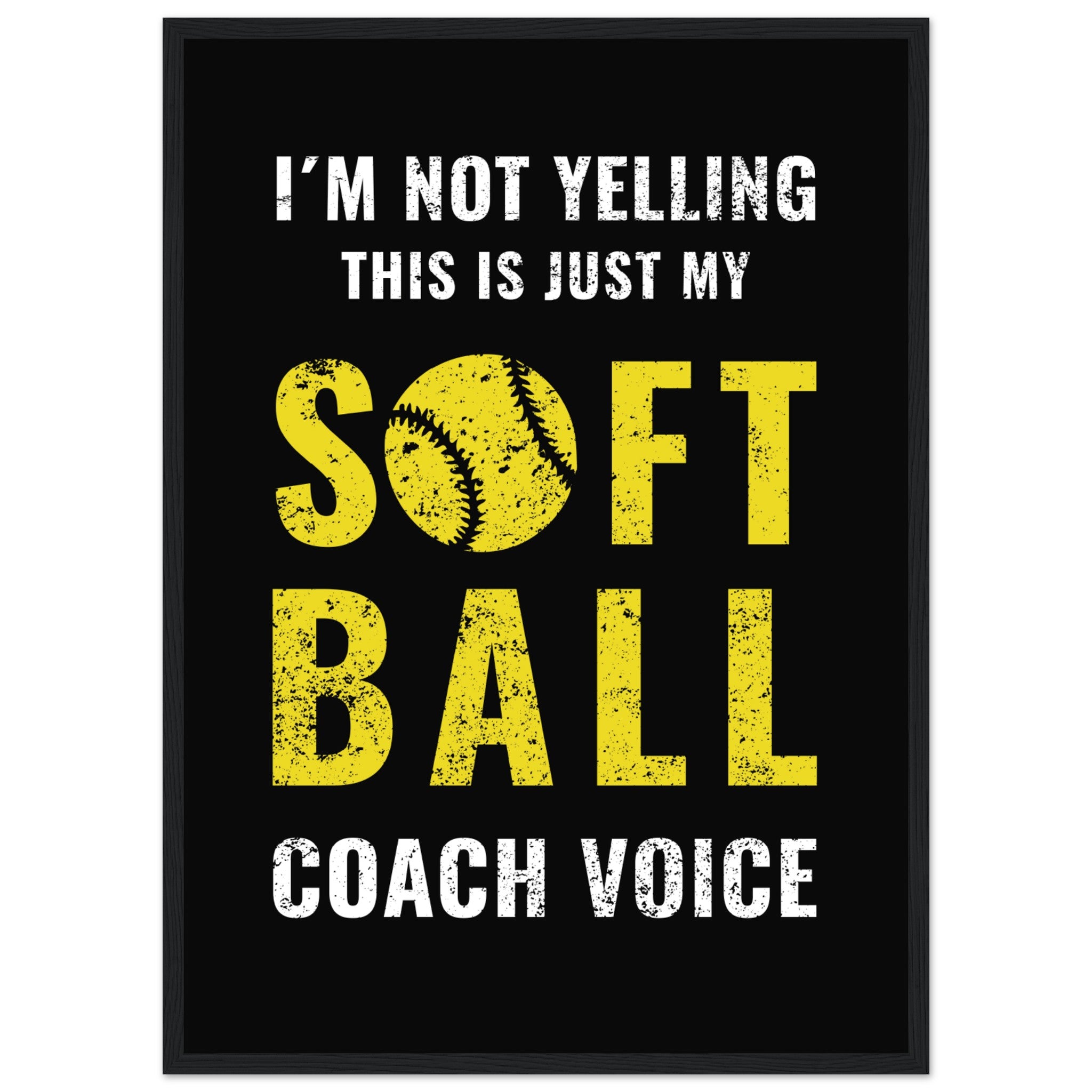 Softball Quote Poster