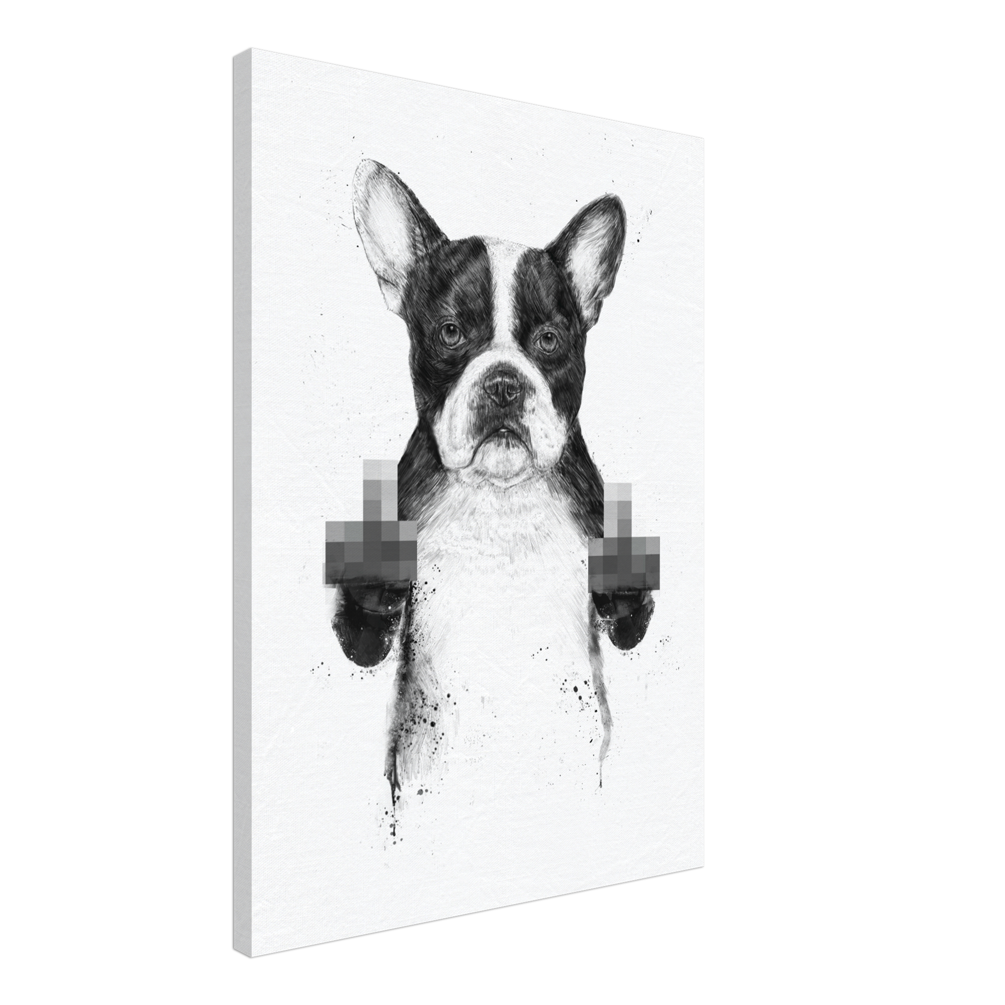 Censored Dog Canvas