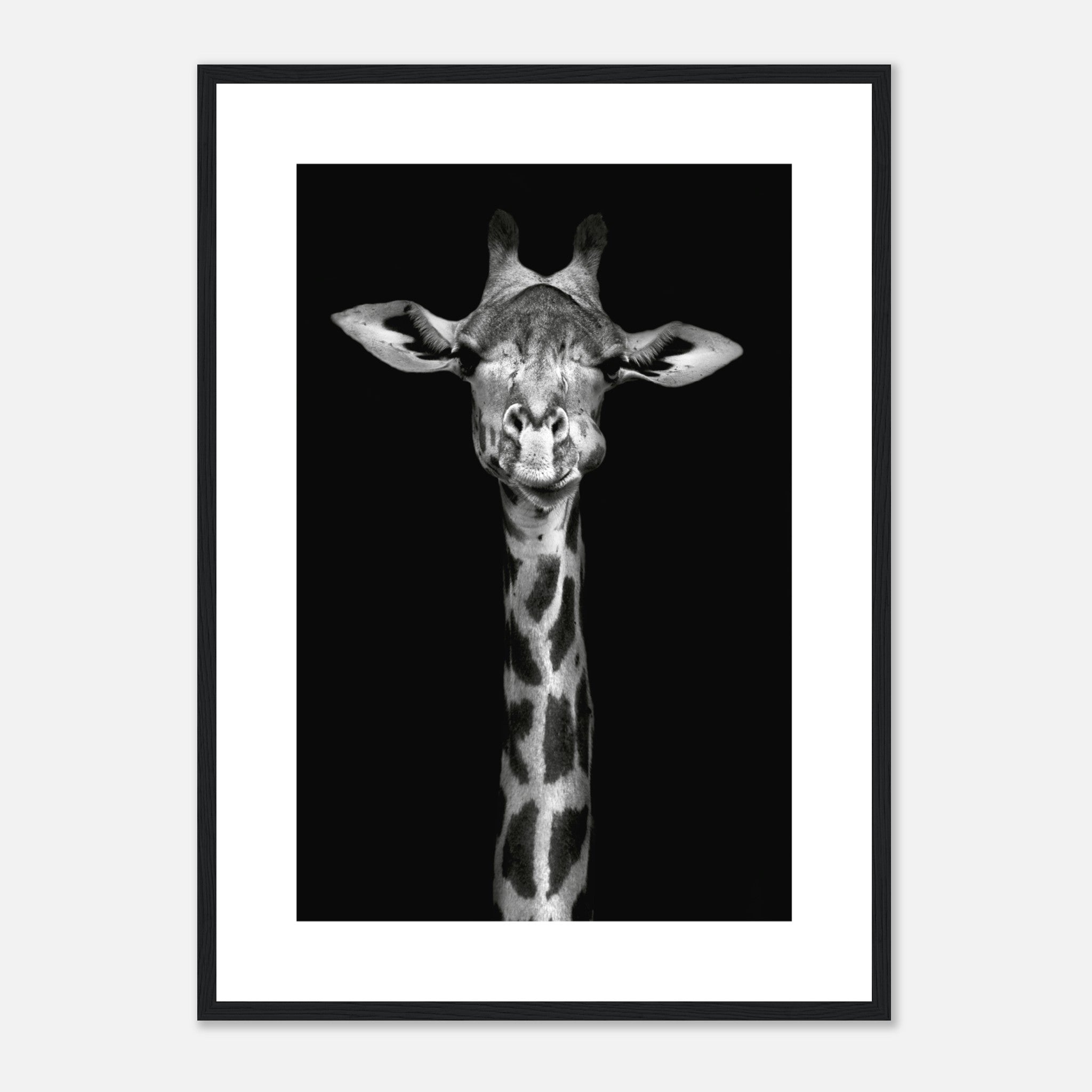 The Giraffe No.2 Poster