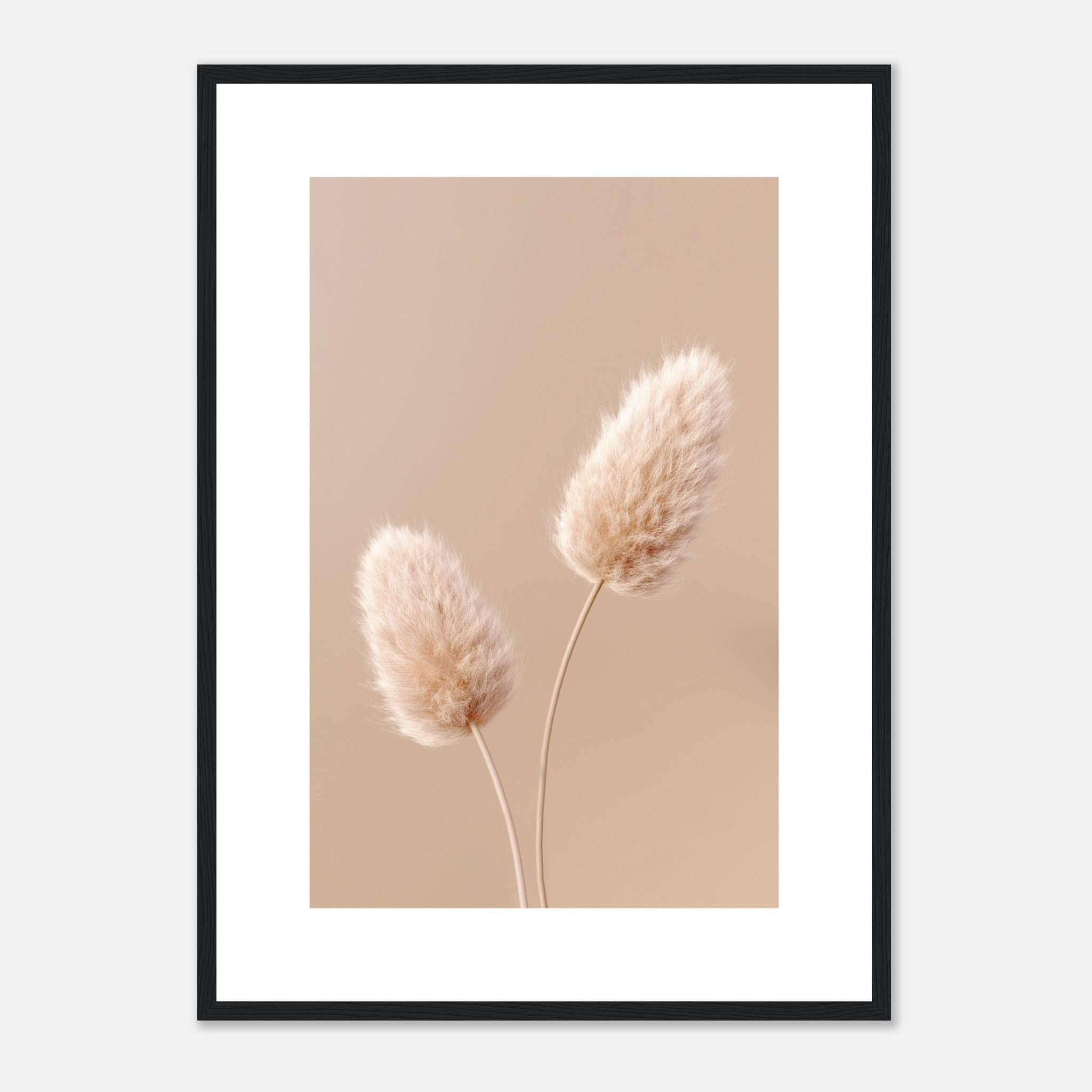 Soft Fluffy Flowers 4 Poster