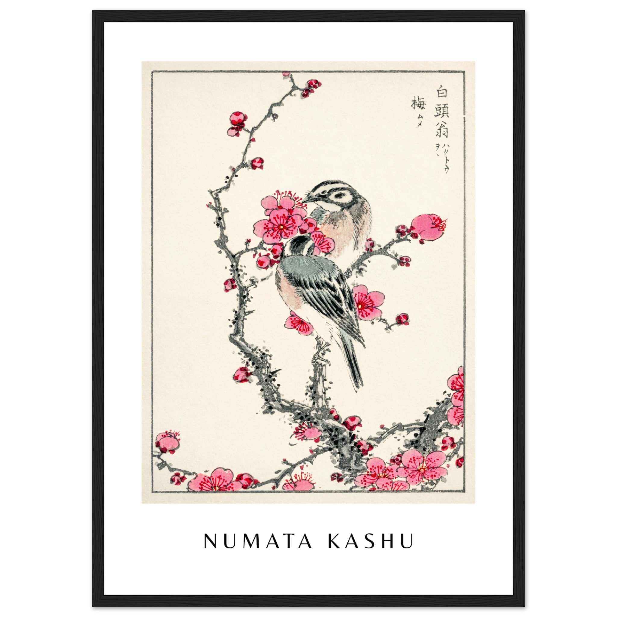 Numata Kashu Print 5 Poster