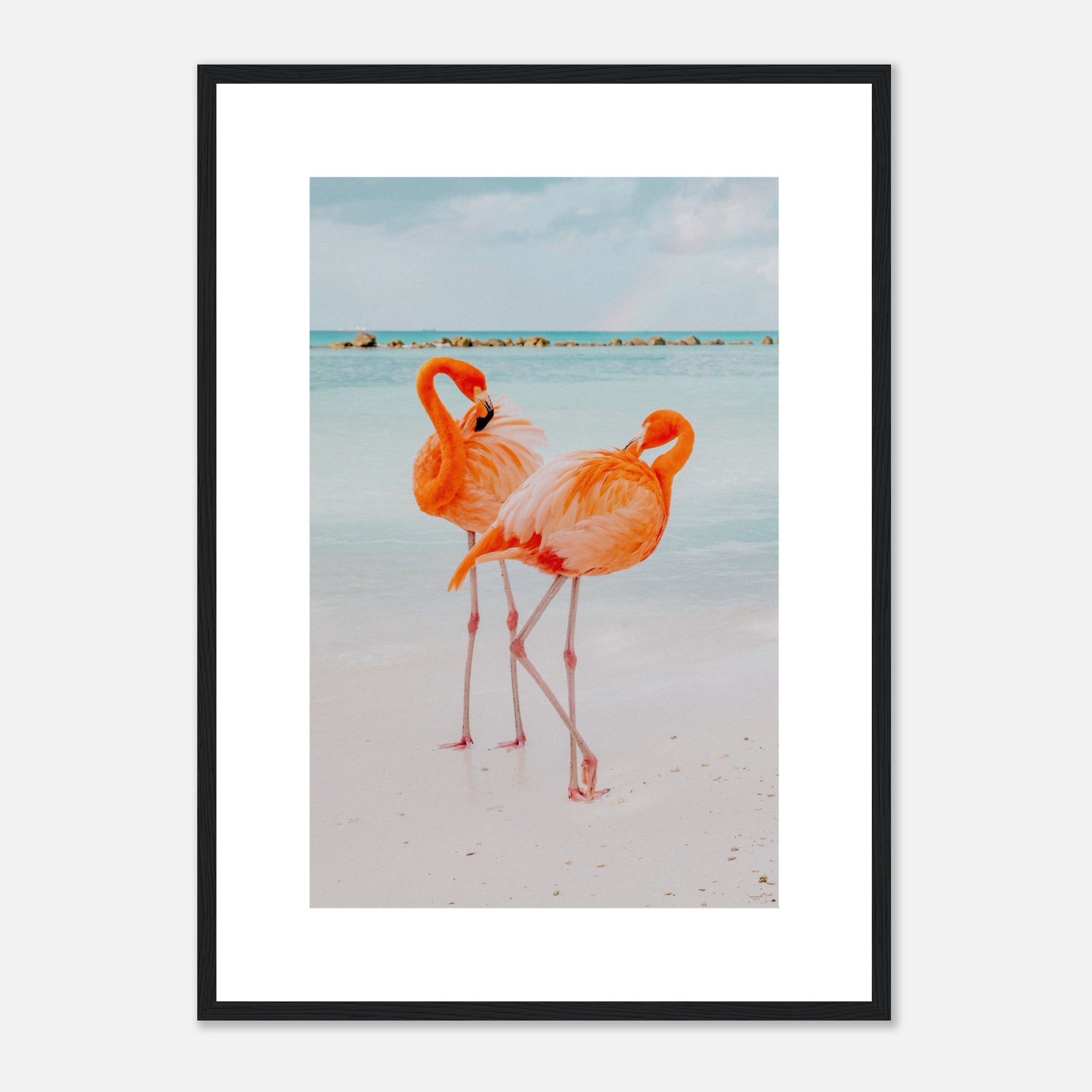 Wild Pink Flamingo Couple Poster