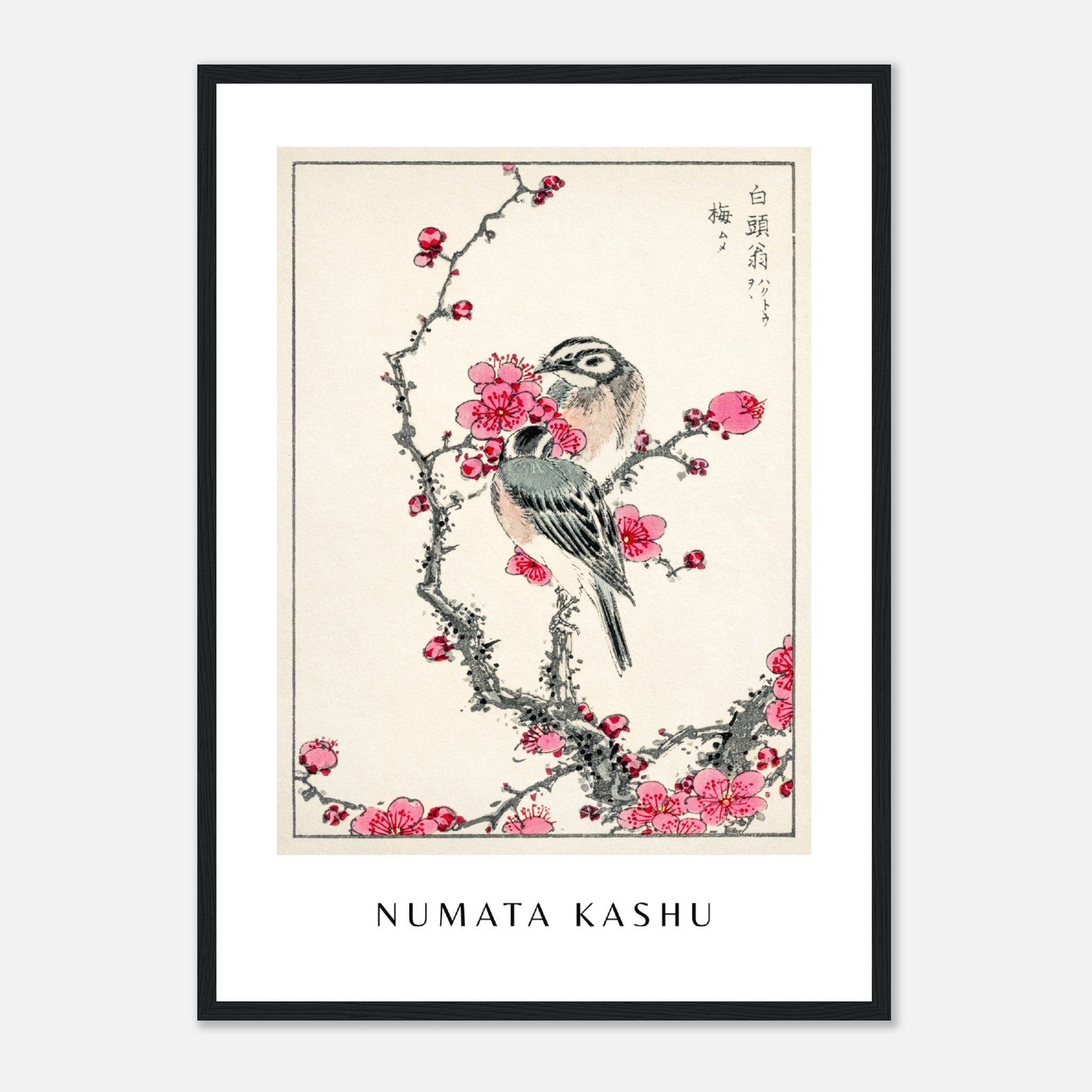 Numata Kashu Print 5 Poster
