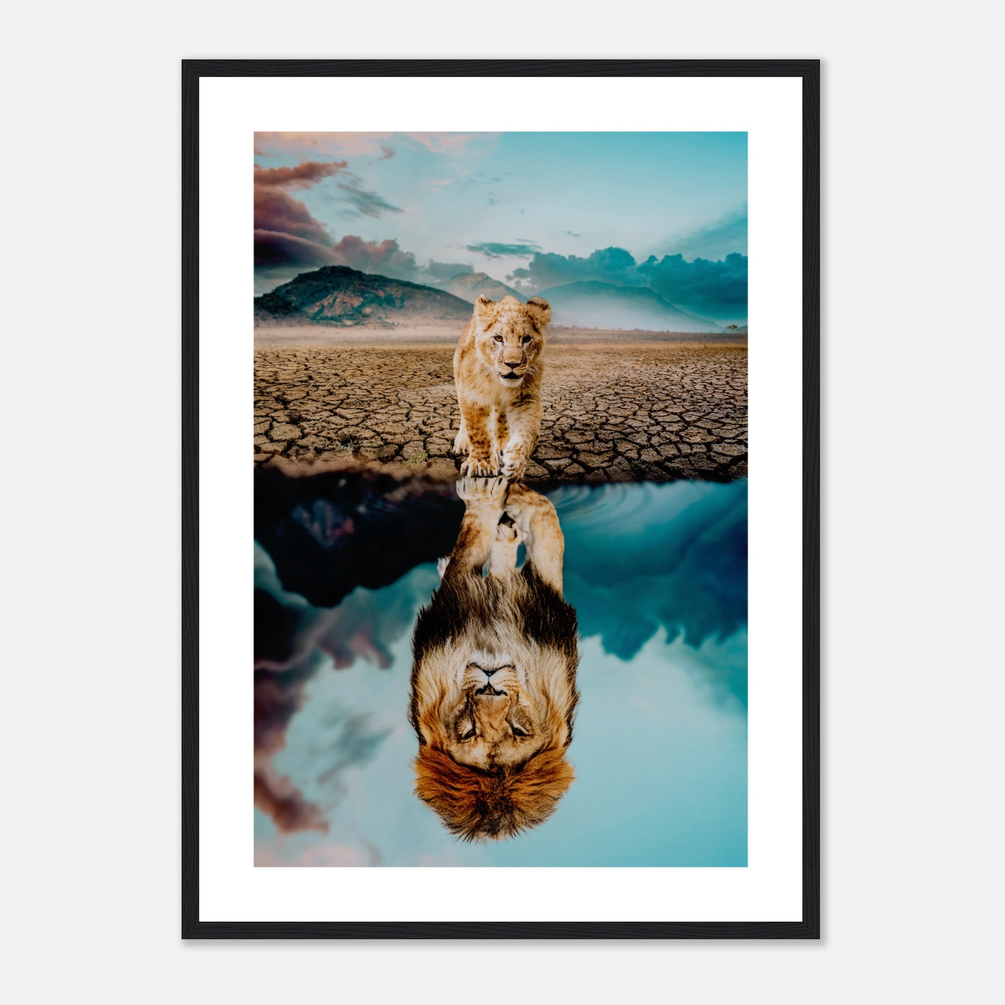 Lion Cub Reflection Poster