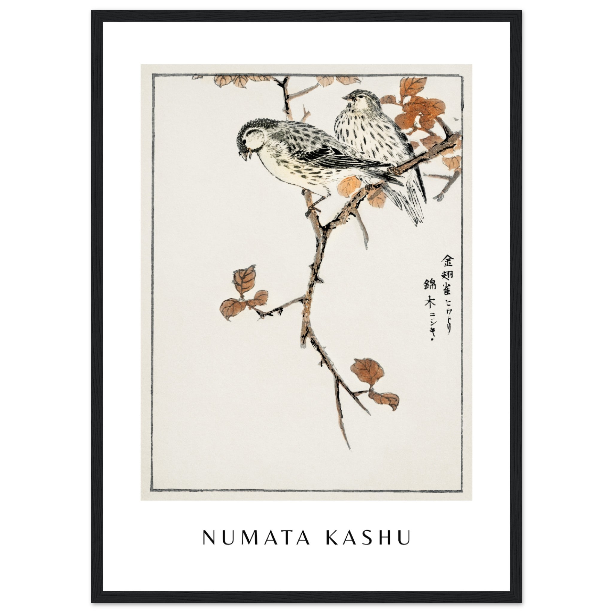 Numata Kashu Print 2 Poster