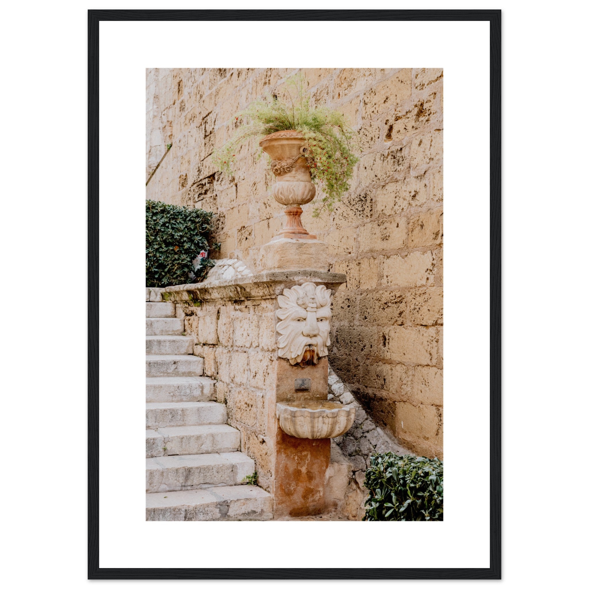 Fountain and Plant on Costa de la Seu Street In Mallorca Poster