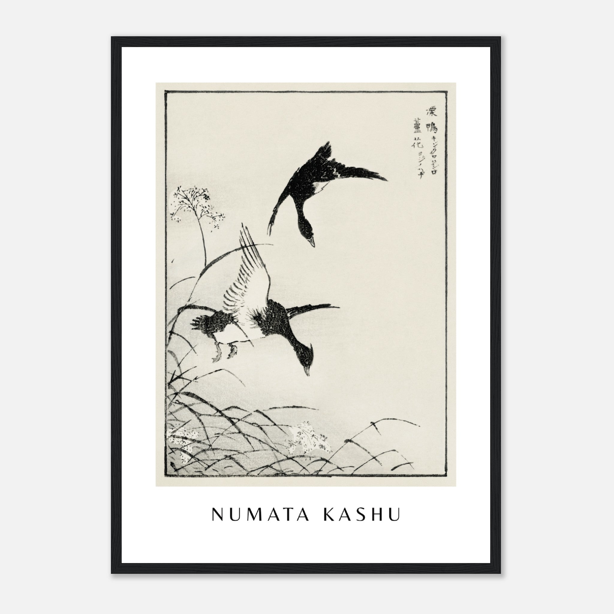 Numata Kashu Print 3 Poster