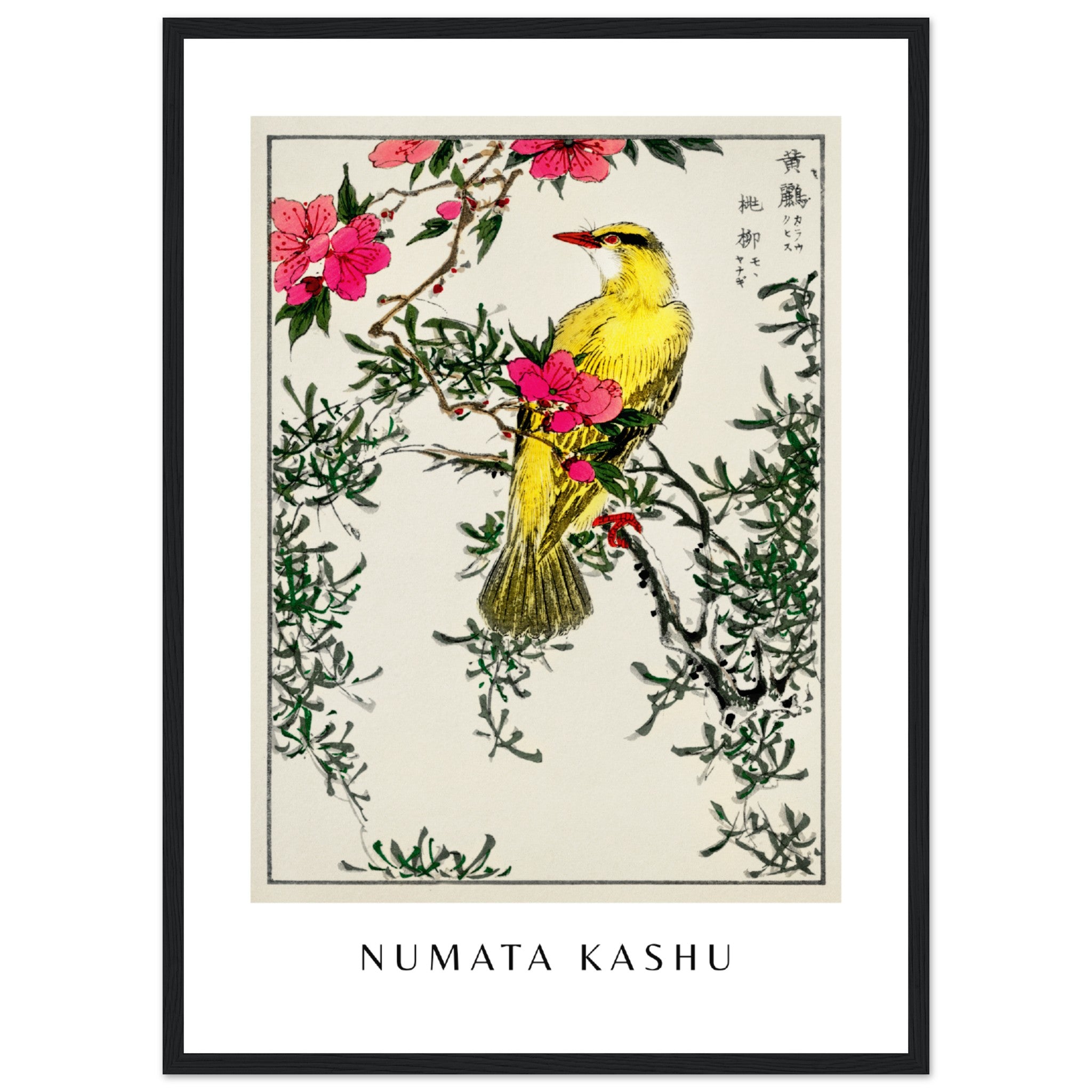 Numata Kashu Print 4 Poster