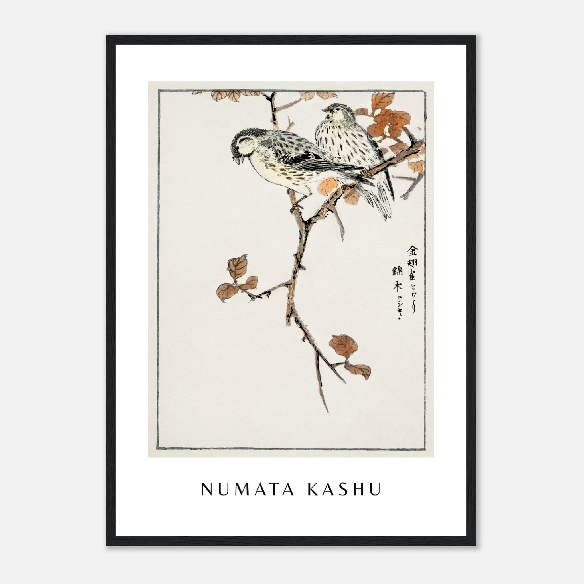 Numata Kashu Print 2 Poster