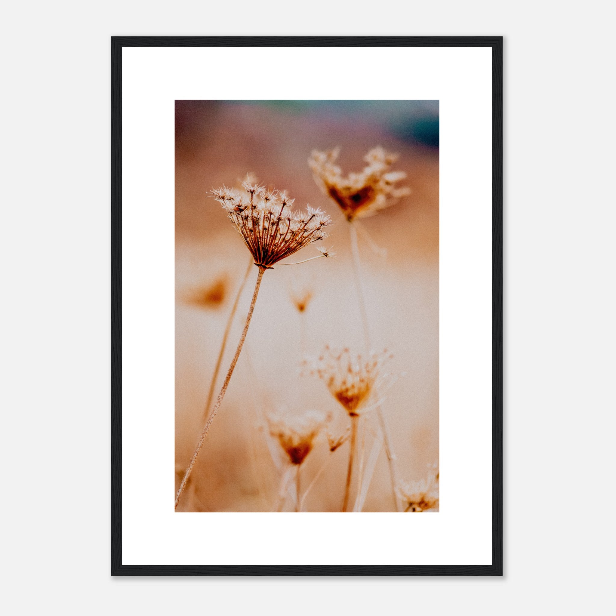 Dried Wildflowers Poster