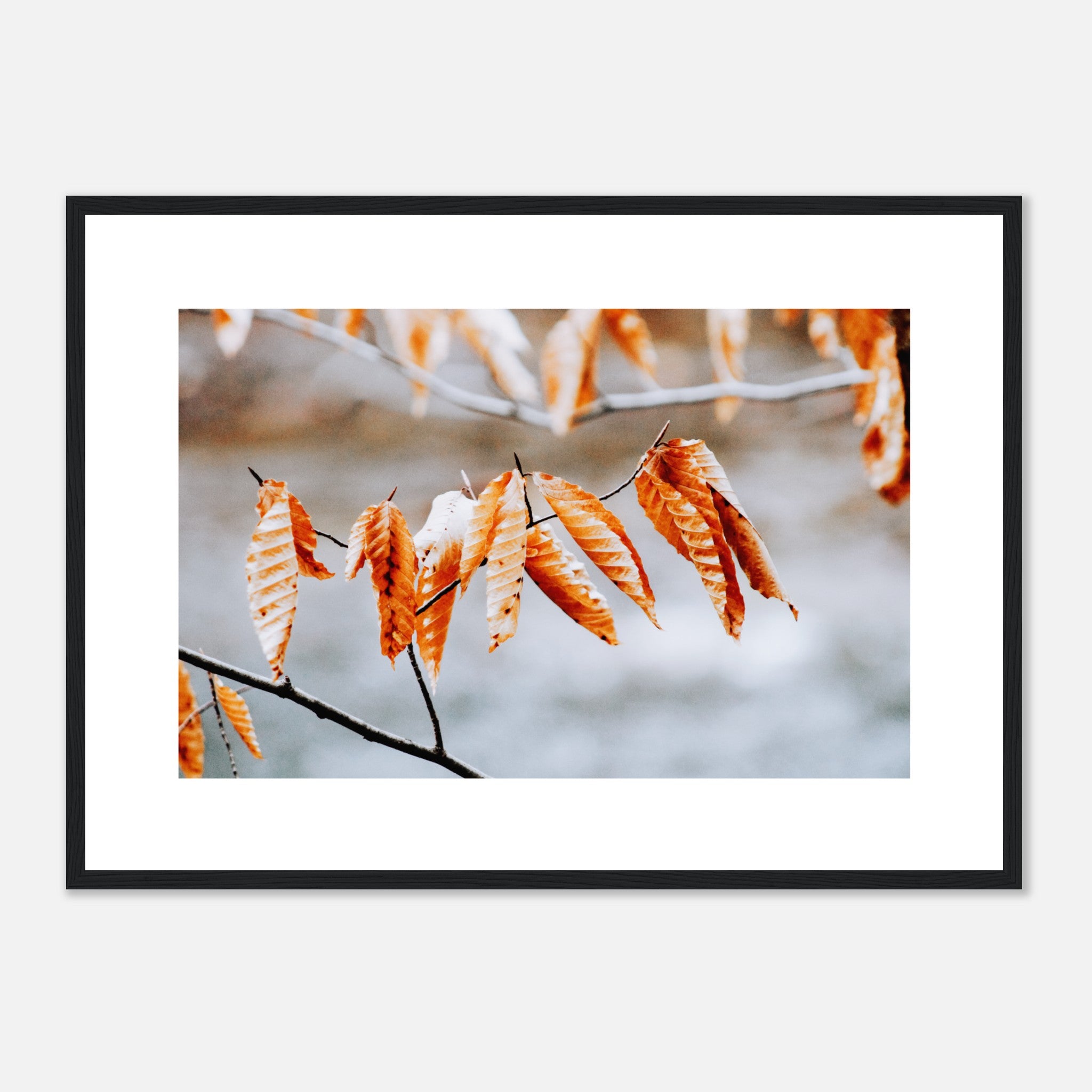 Dried Branch Poster
