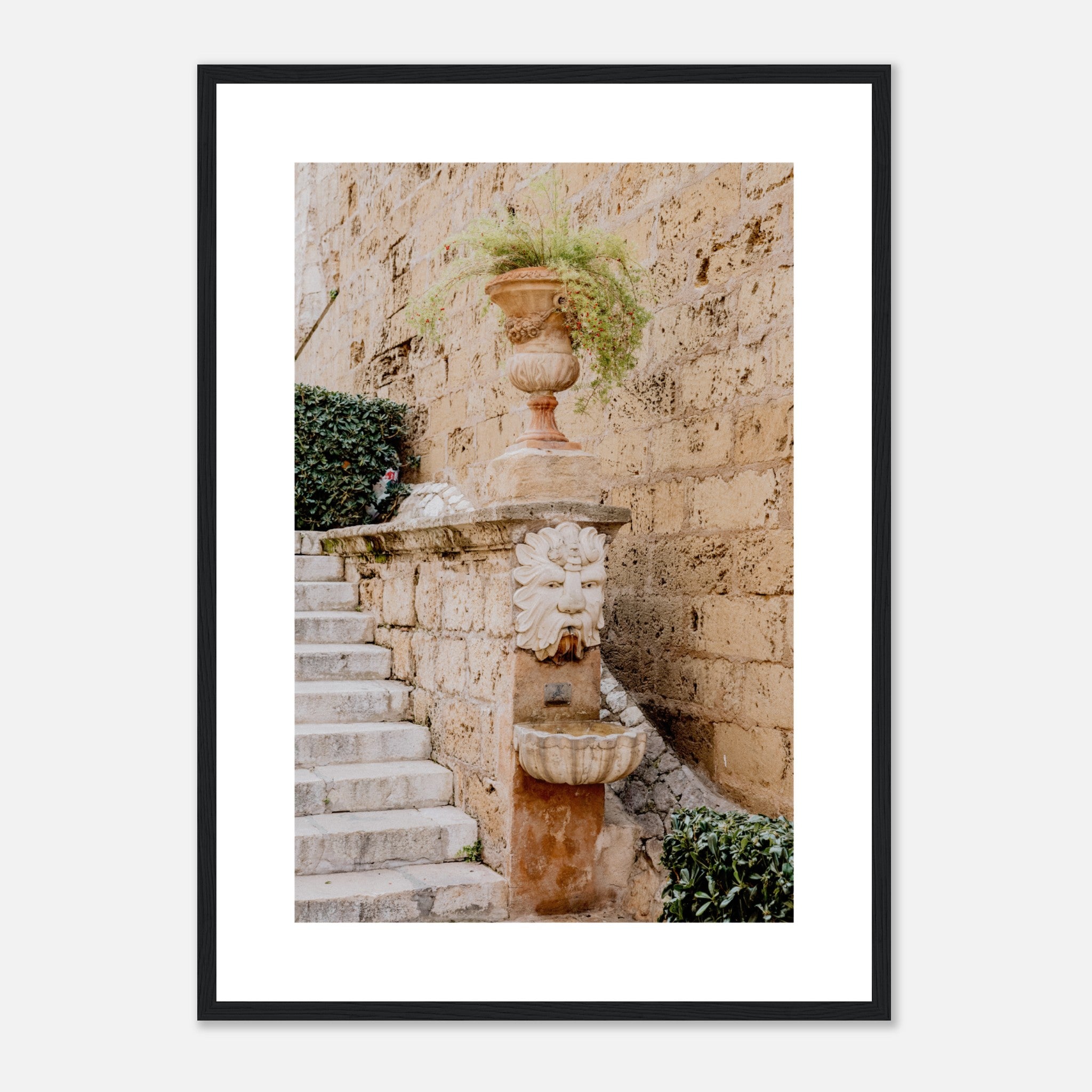 Fountain and Plant on Costa de la Seu Street In Mallorca Poster