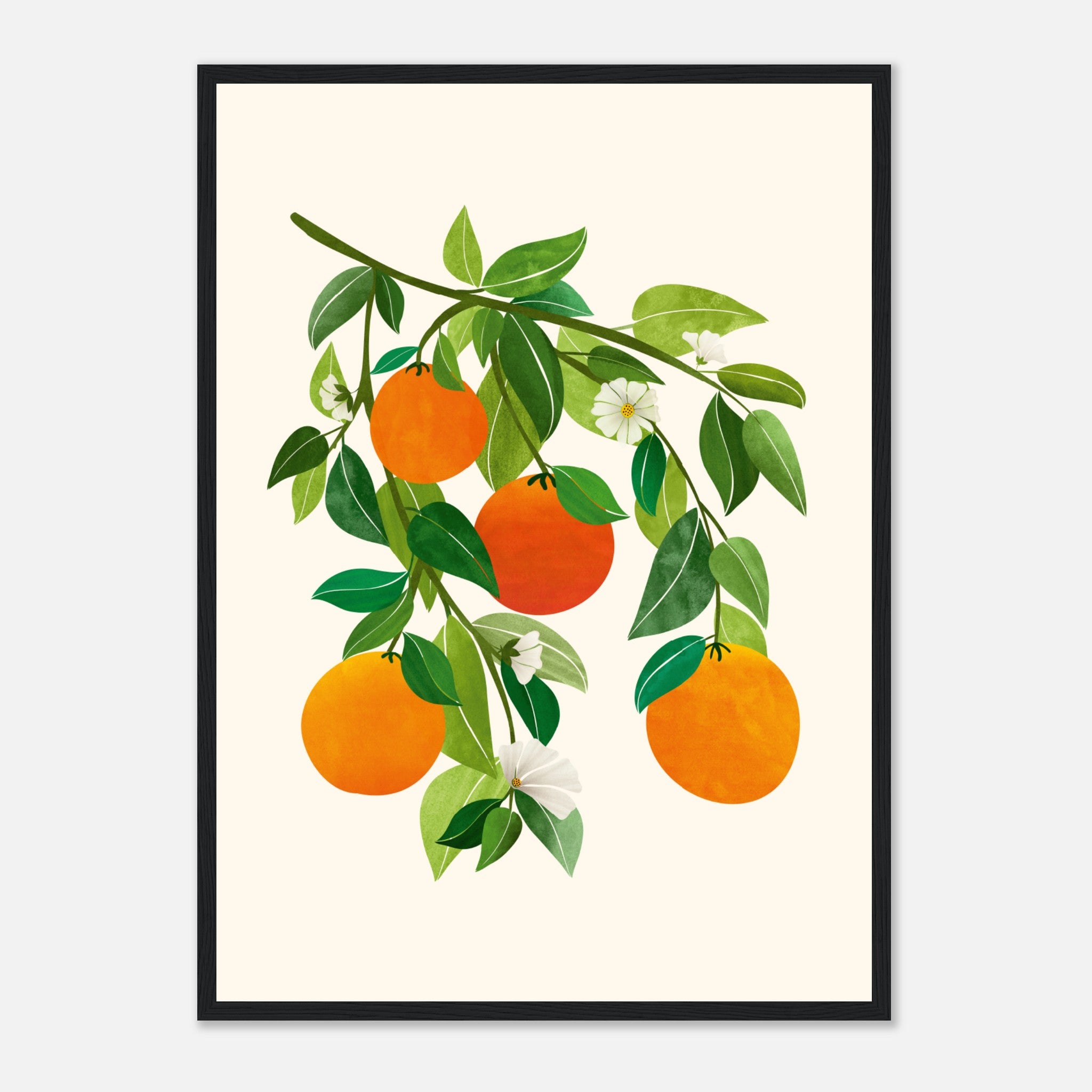 Oranges And Blossoms Poster