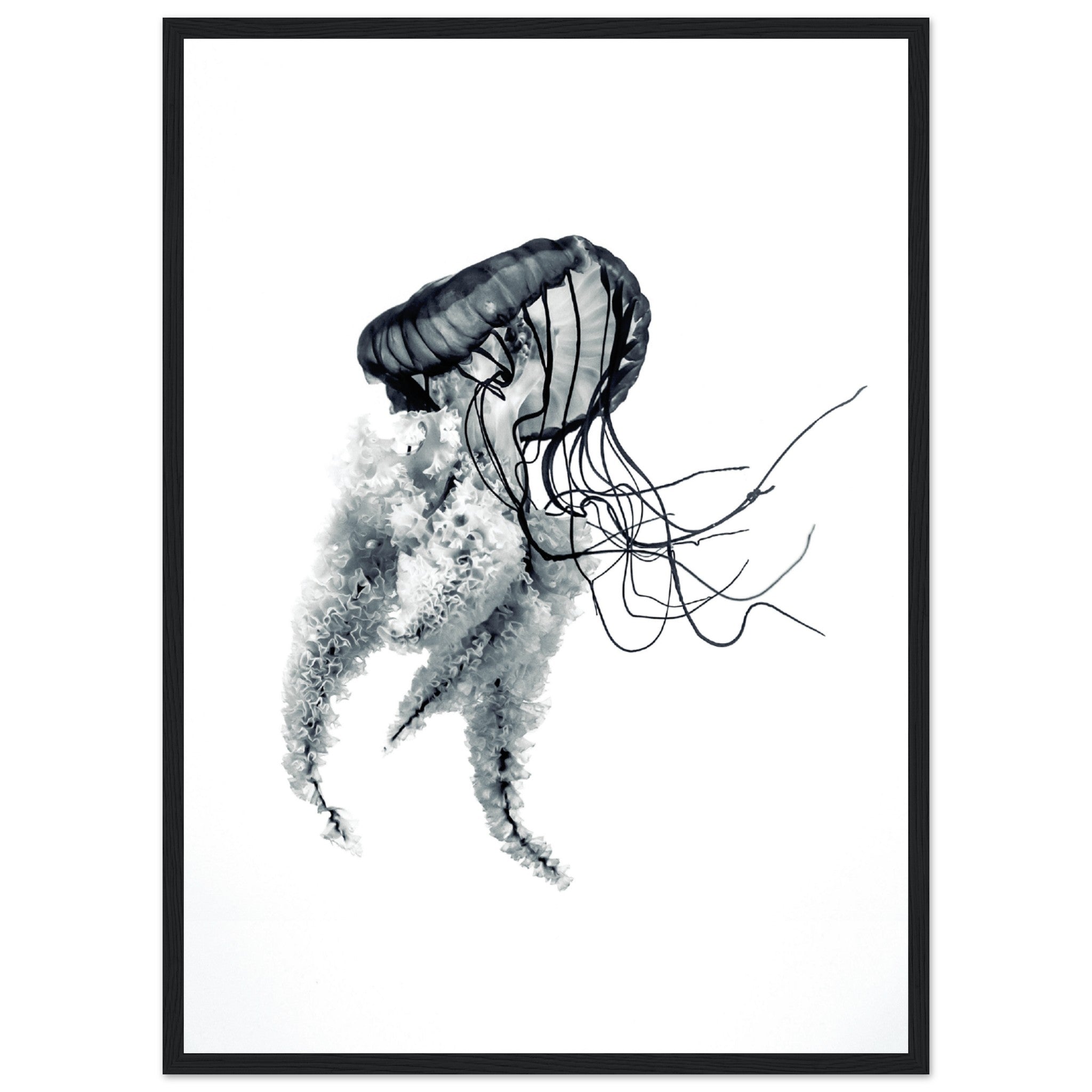 Artistic Jellyfish Poster