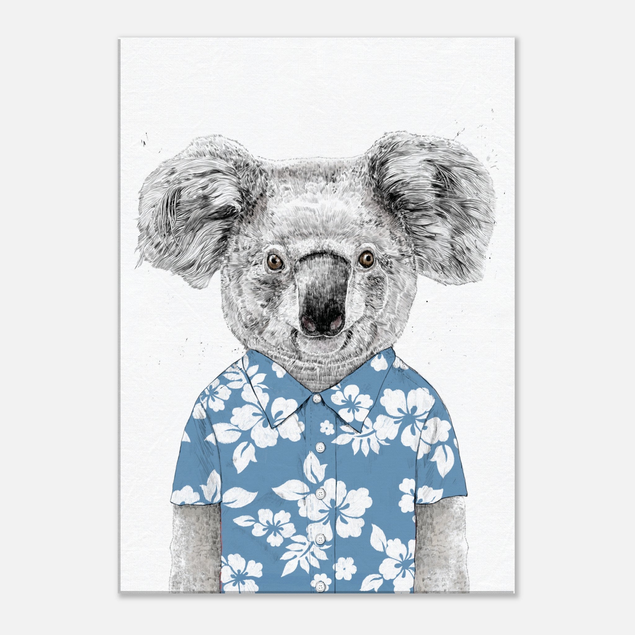 Summer Koala (Blue) Canvas
