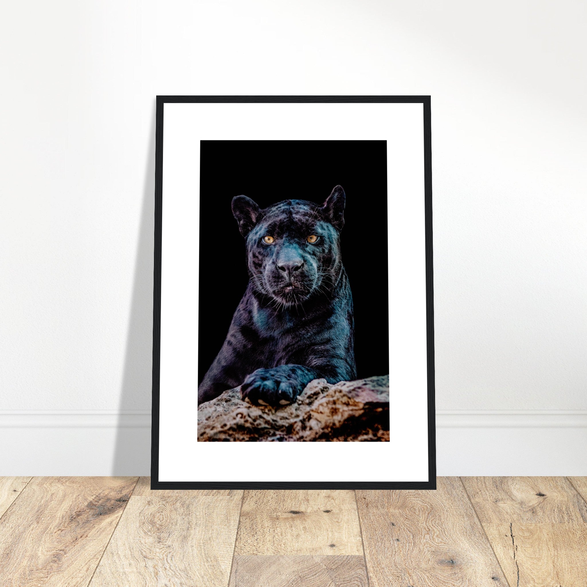 Retrato de jaguar negro Póster