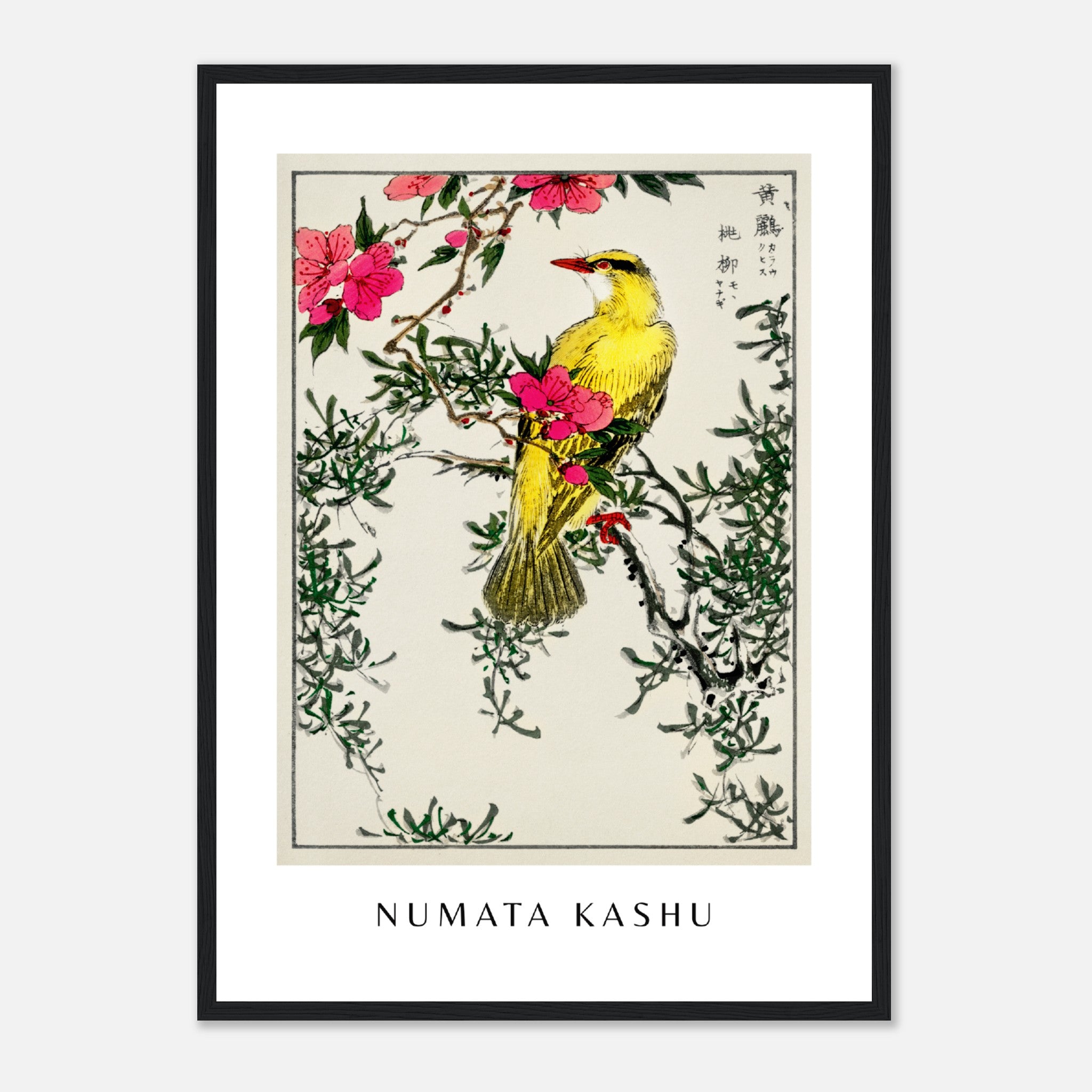 Numata Kashu Imprimir 4 Póster