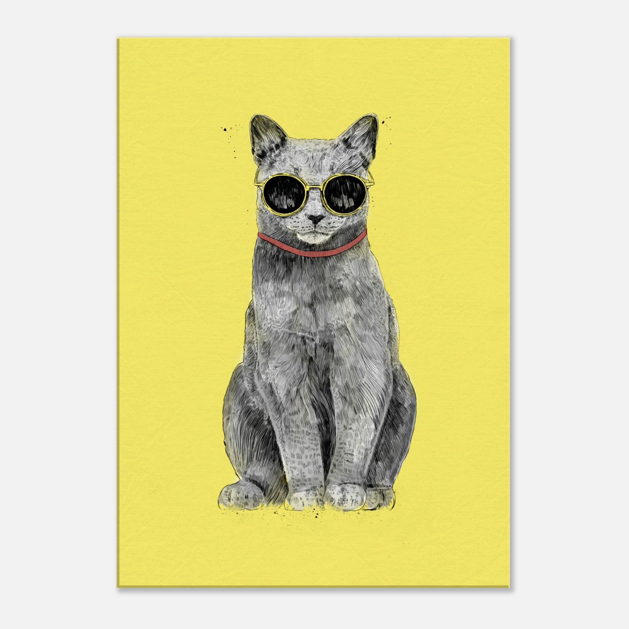 Summer Cat Canvas