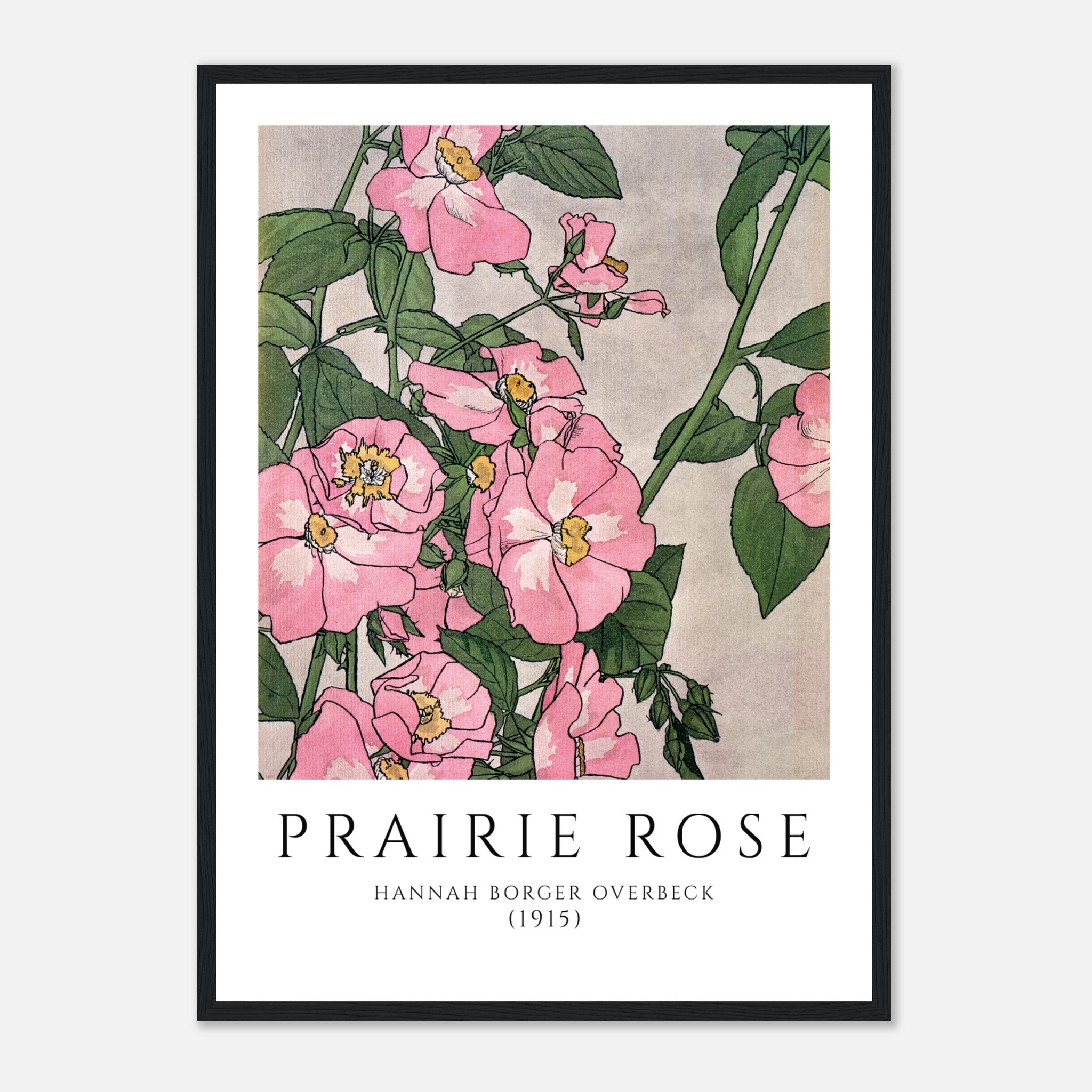 Prairie Rose de Hannah Borger Póster