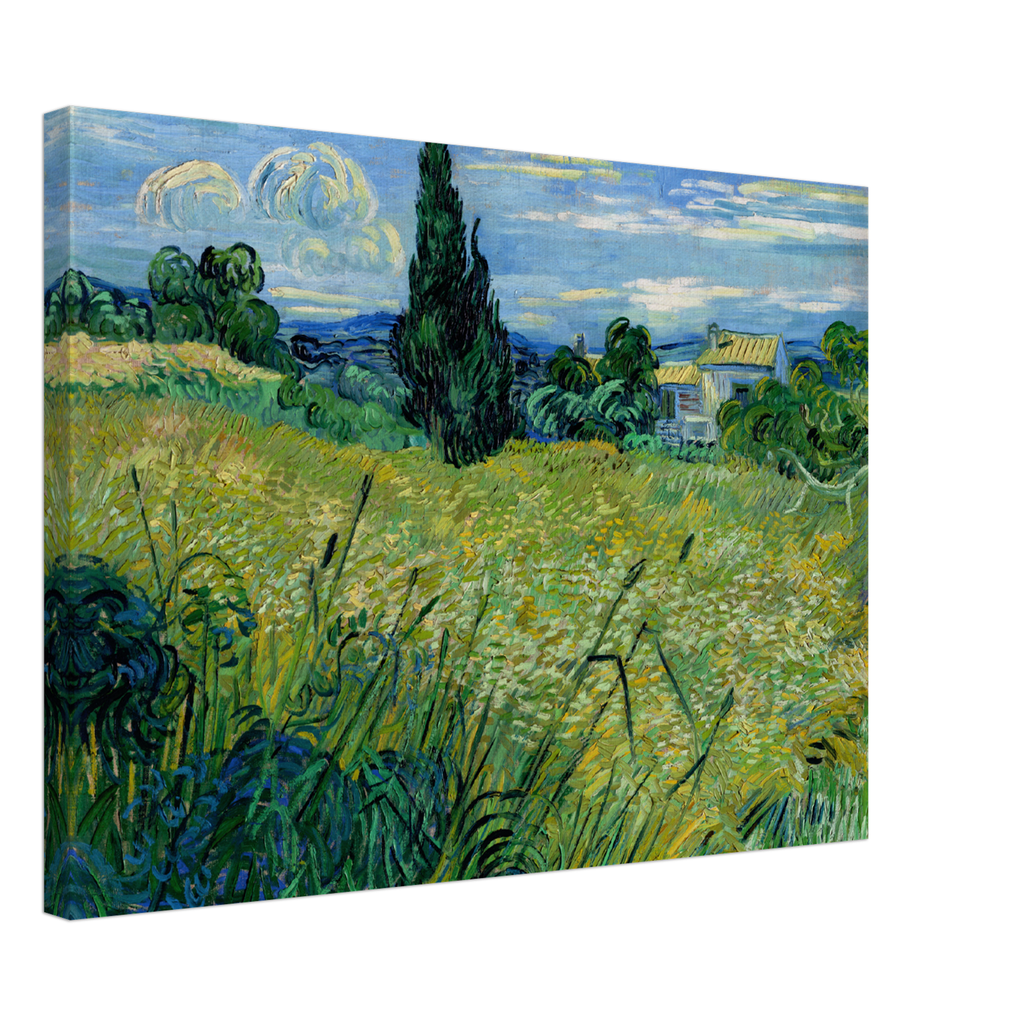 Green Wheat Field with Cypress (1889) Canvas