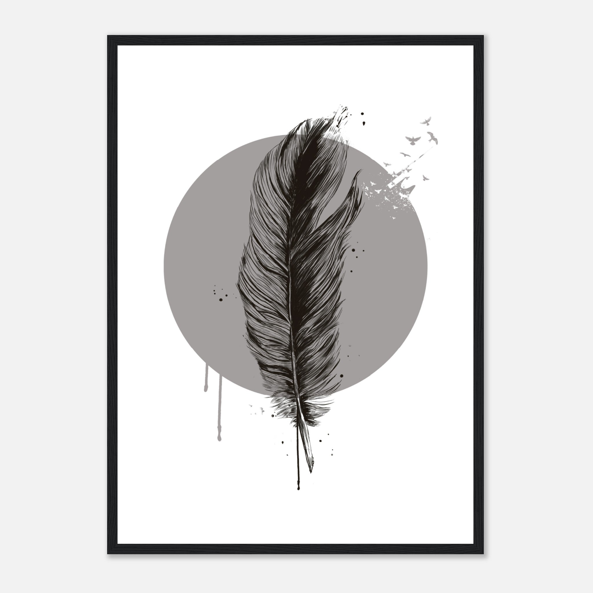 Feather In A Circle BW Poster