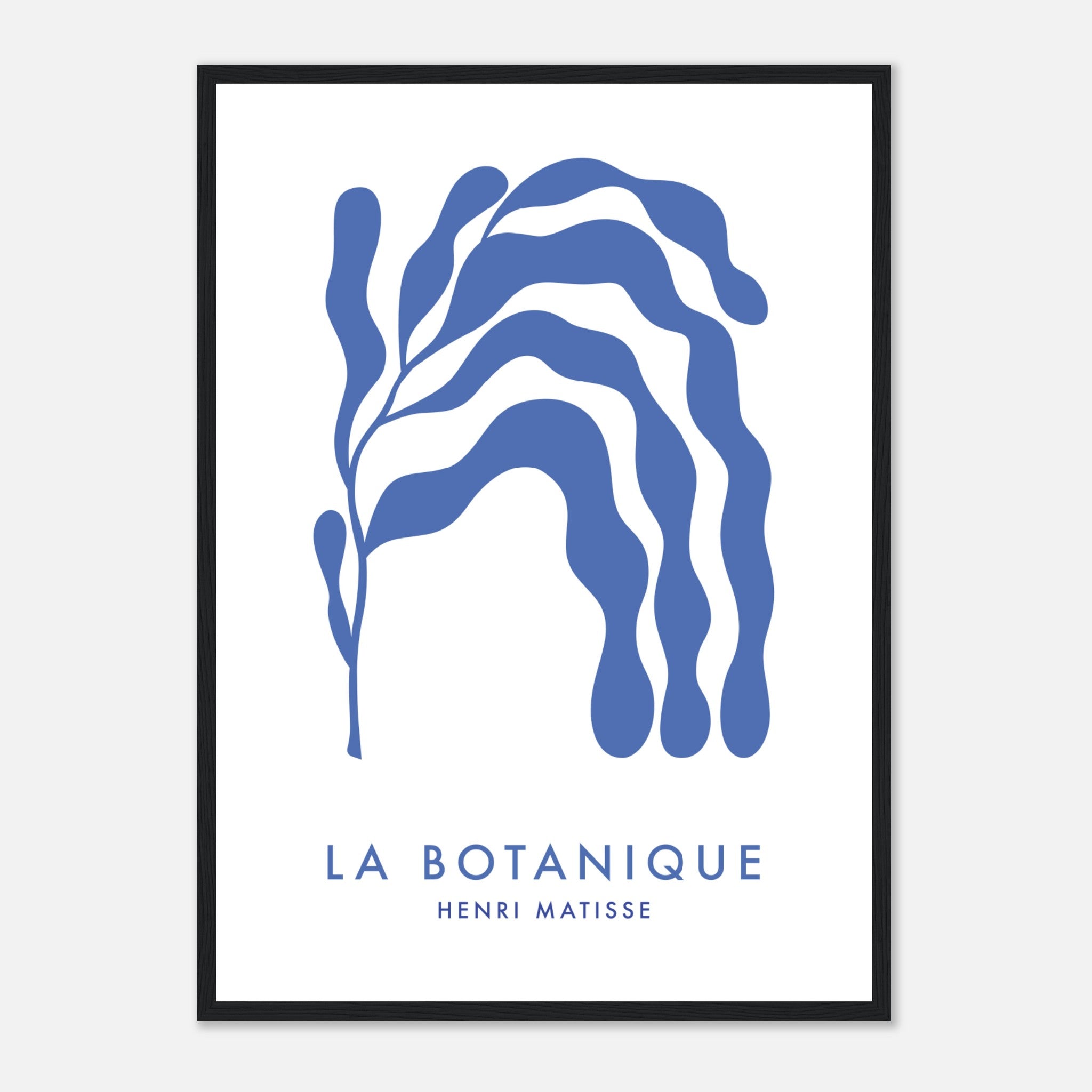 Matisse La Botanique Poster Poster