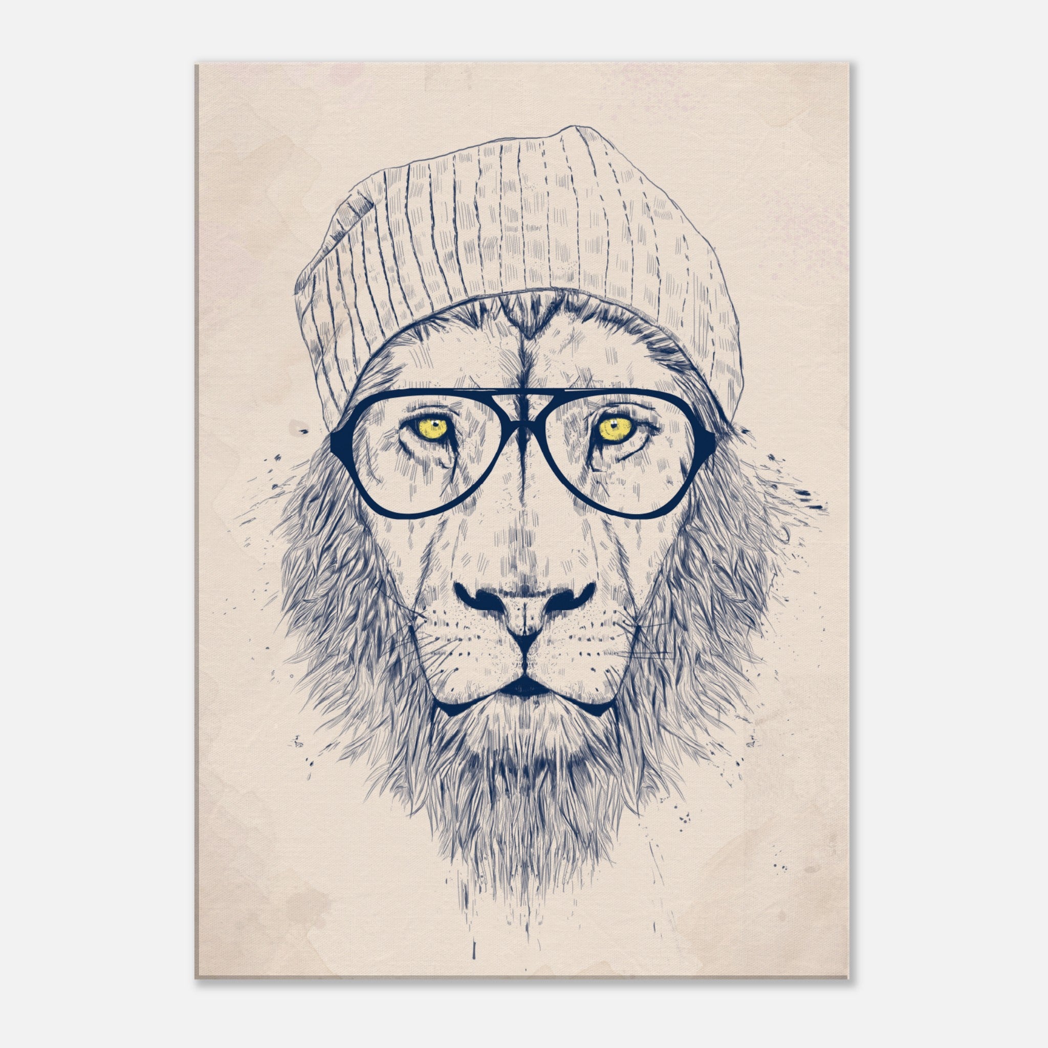 Cool Lion Canvas
