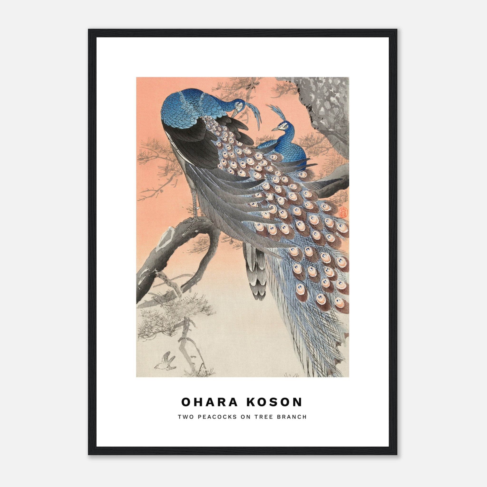 Two peacocks on tree branch by Ohara Koson Poster