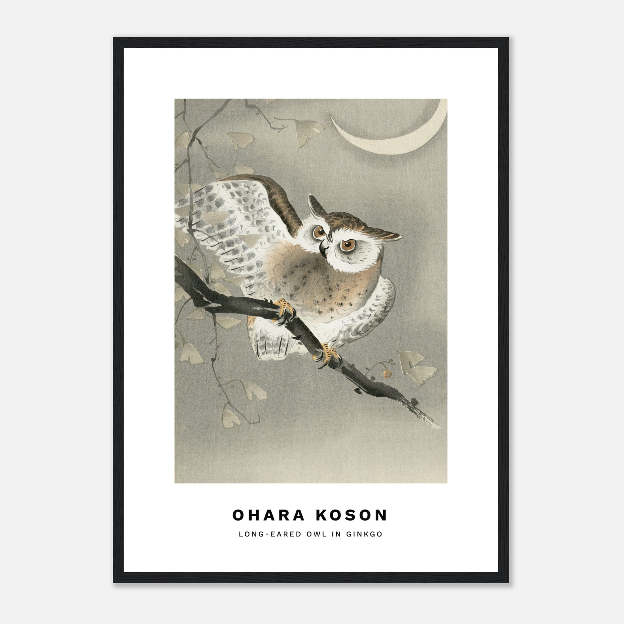 Long-eared owl in ginkgo by Ohara Koson Poster