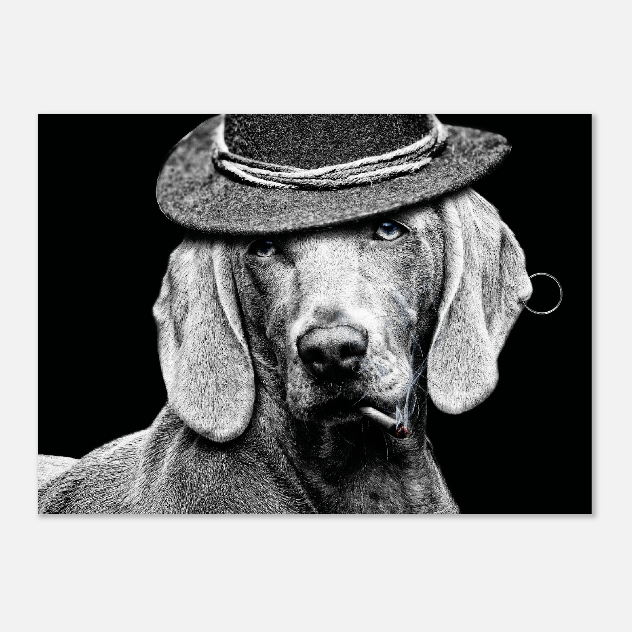 Un perro con clase con un sombrero punk Póster