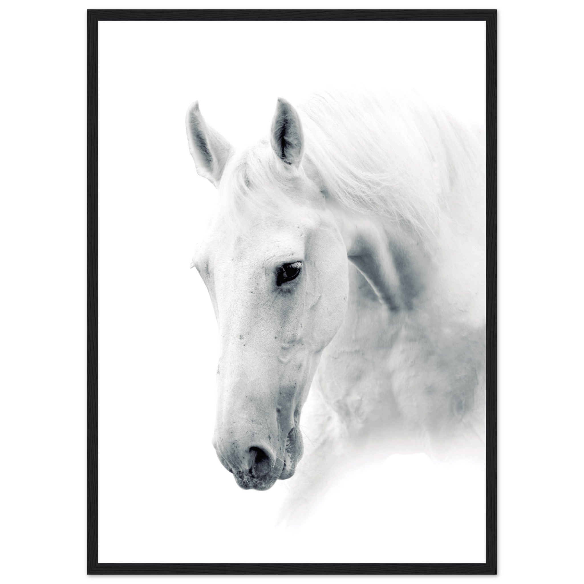 Lighted Horse Poster