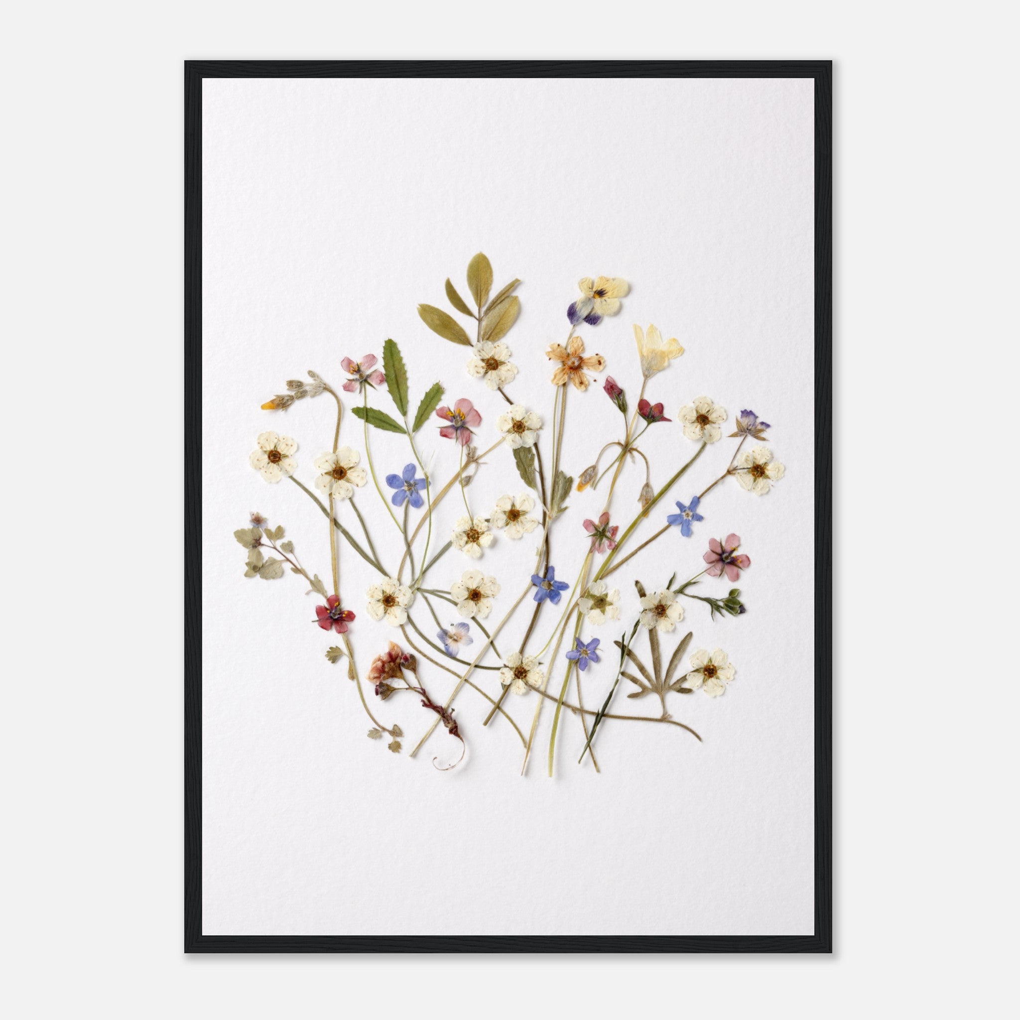 Dried Flowers On Textured Paper 3 Poster