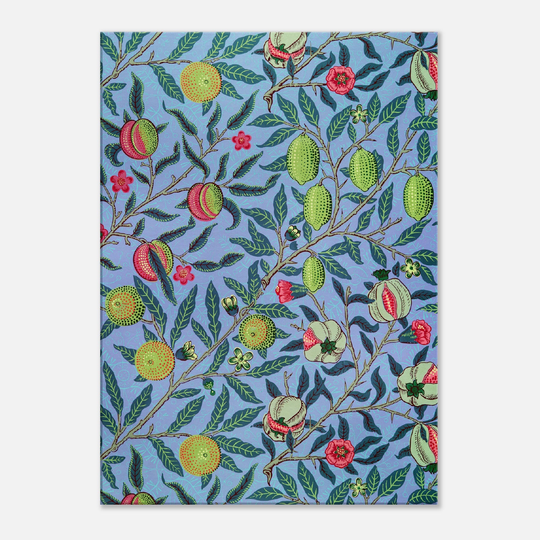 Fruit or Pomegranate Canvas